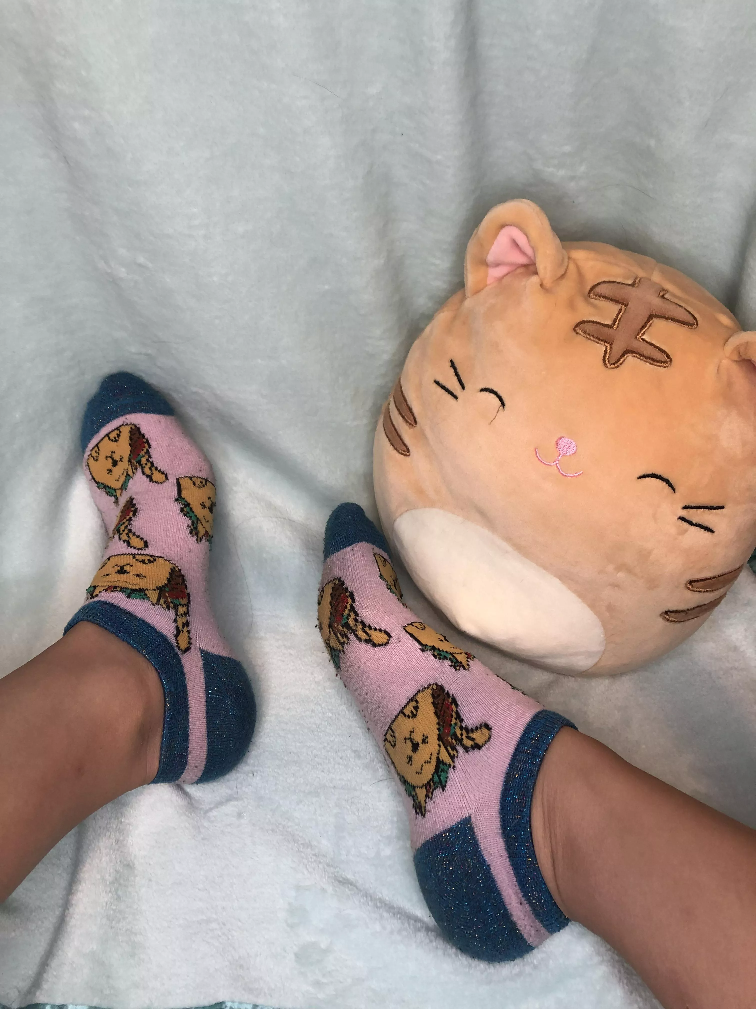 My cute sweaty cat socks 😻💦🧦 who wants to worship them? DM me if interested in purchasing💕😼