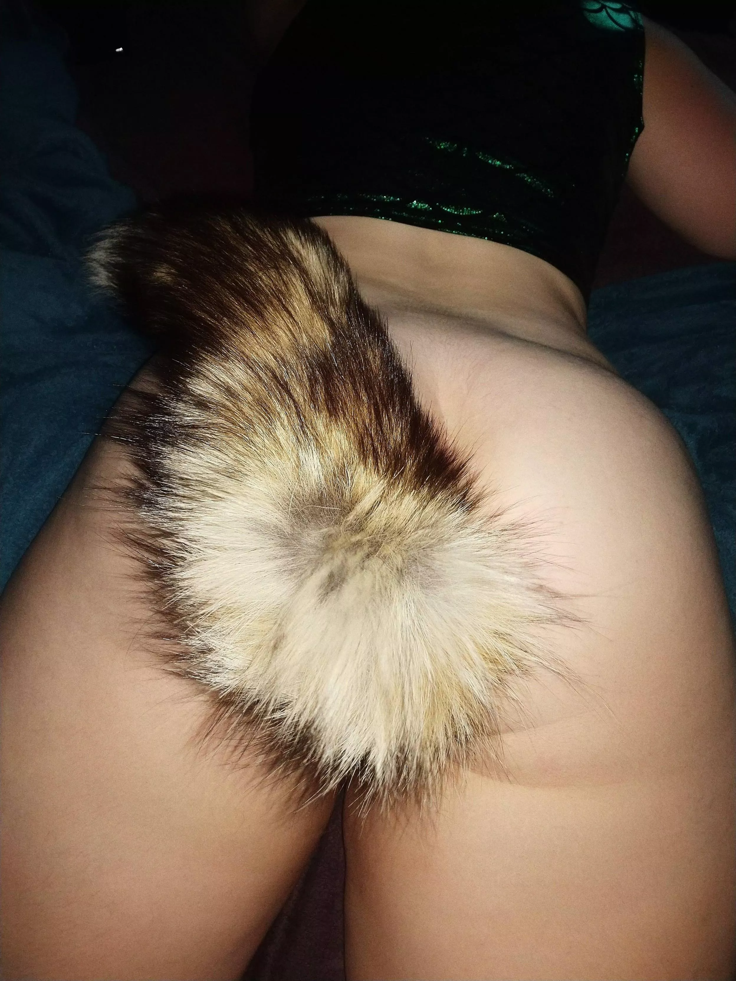 My favorite tail 😍 I need more excuses to wear it!