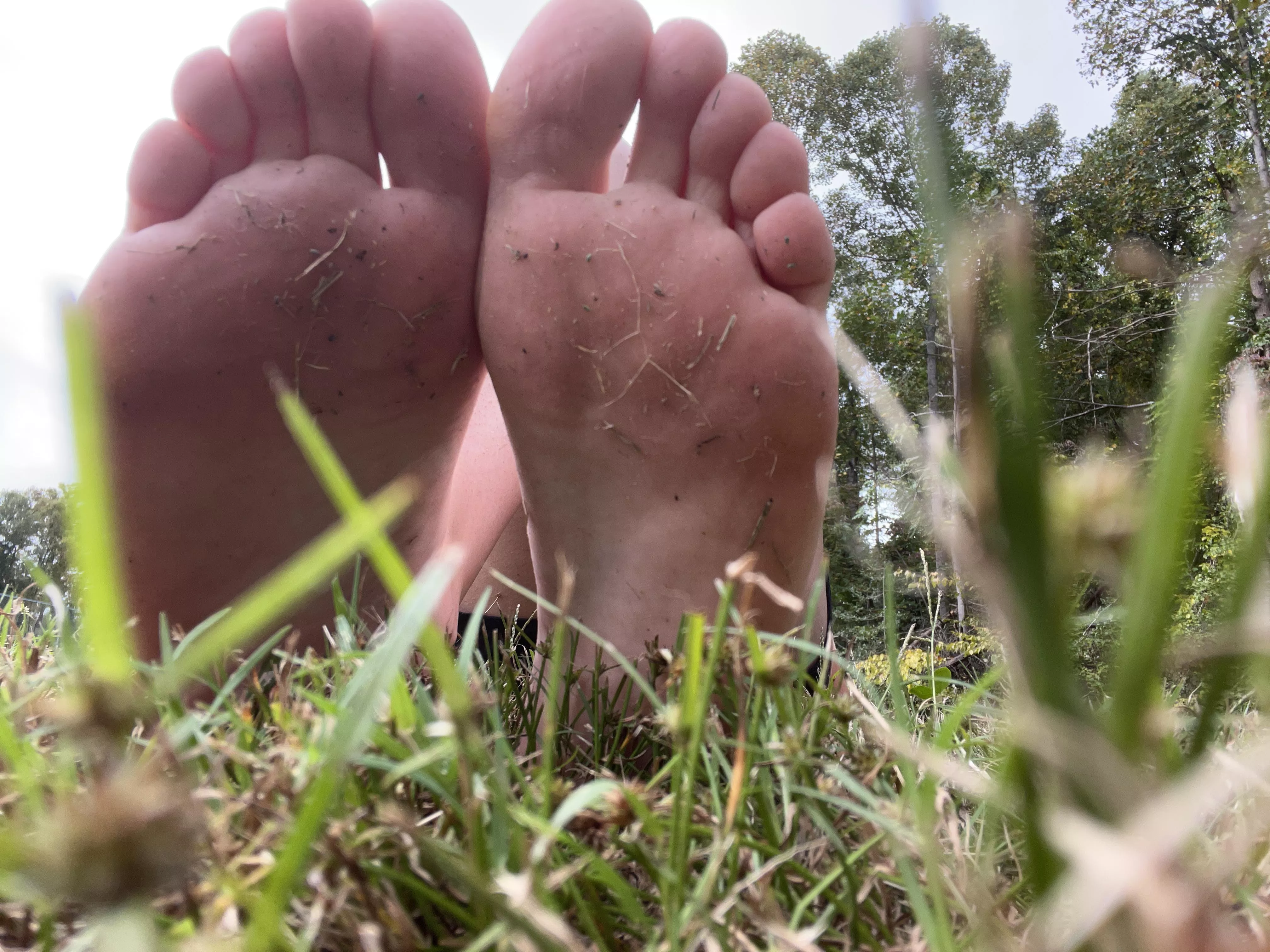 My feet got a little dirty while I was frolicking through the field today.