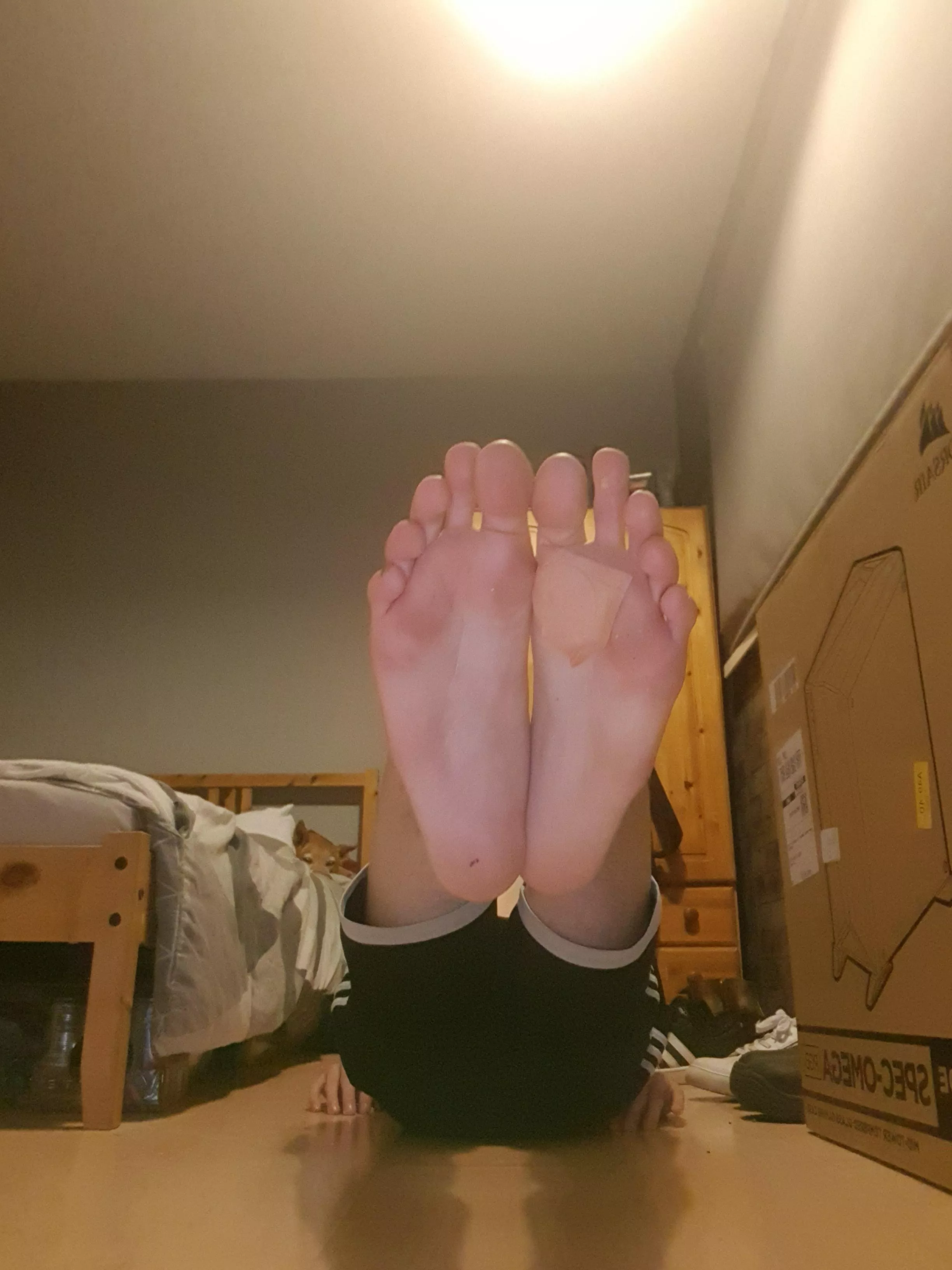 My feet need playing with 👣