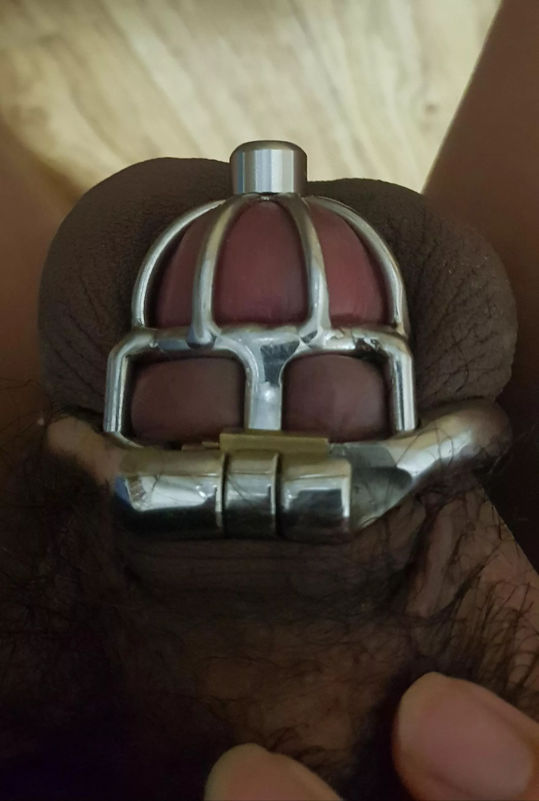 my first chastity cage with urethral catheter! It look like a crown!