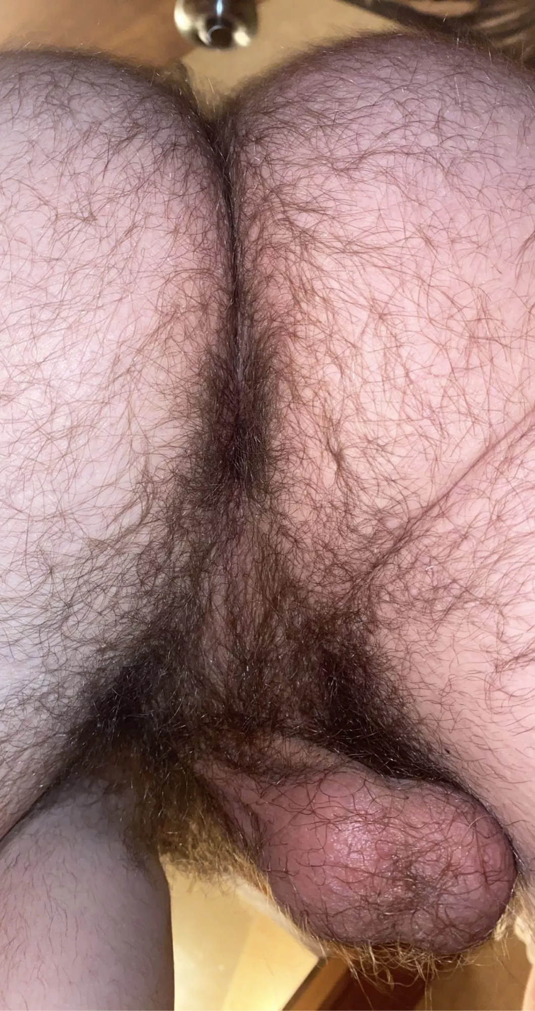 My first post. Enjoy my hairy ass and balls ðŸ¥µ