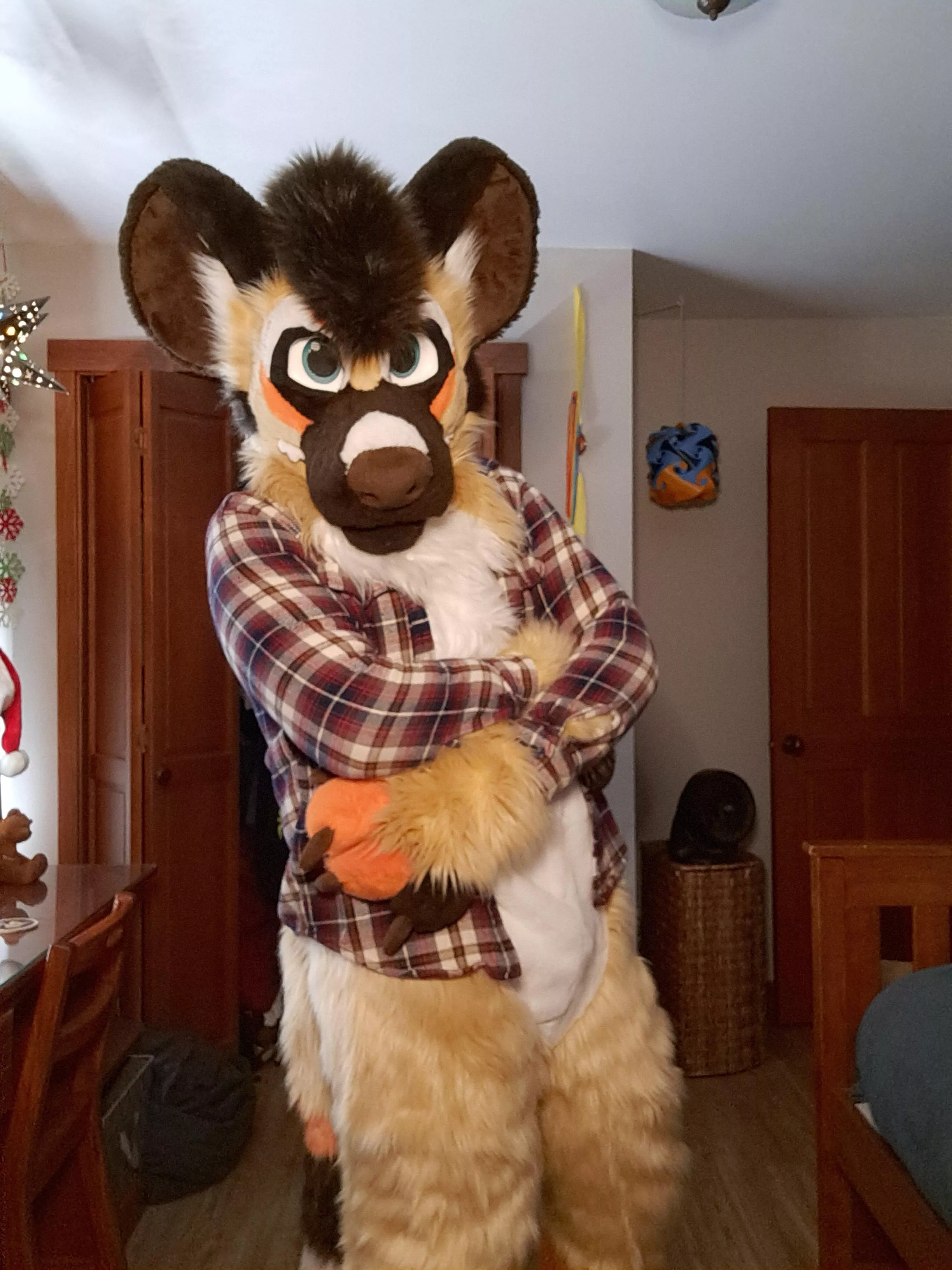 My fullsuit arrived today!