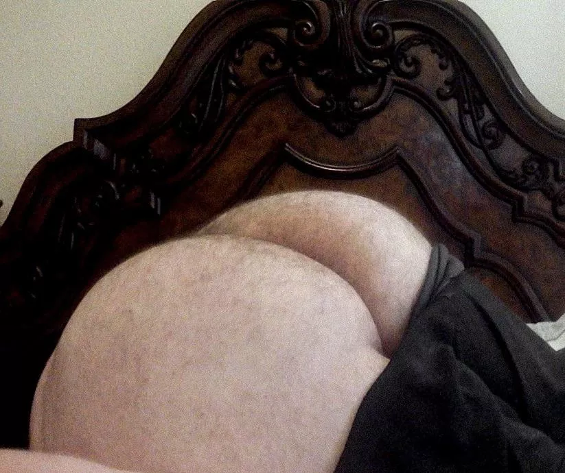 my hairy ass needs to be fucked