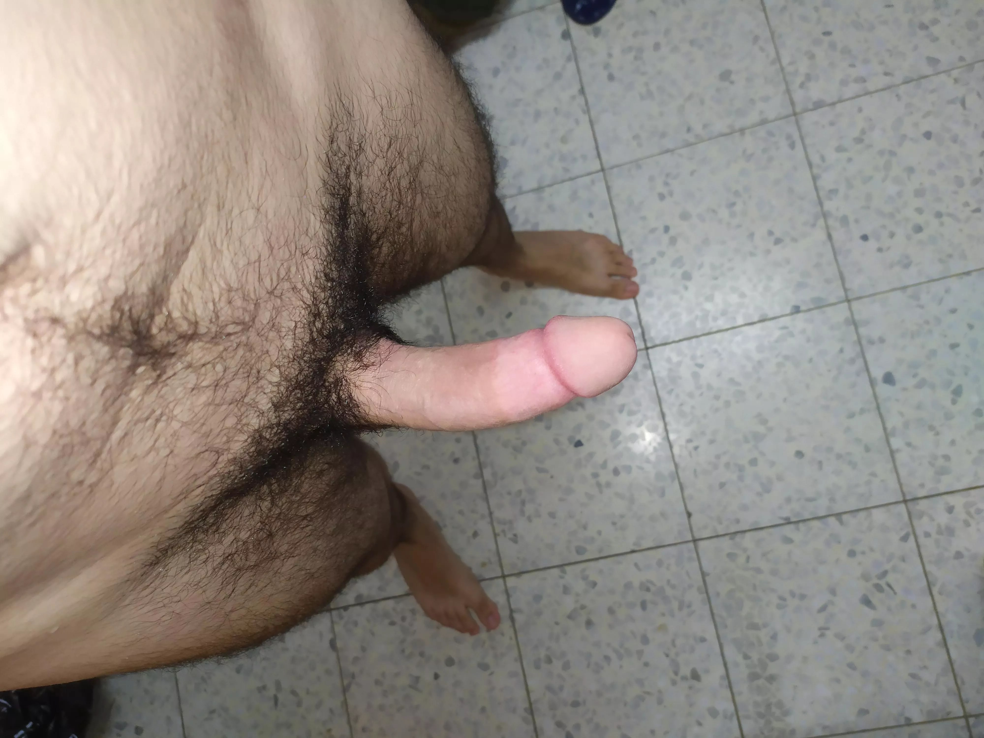 My hairy boy cock