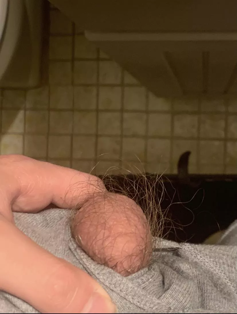 My hairy right nut