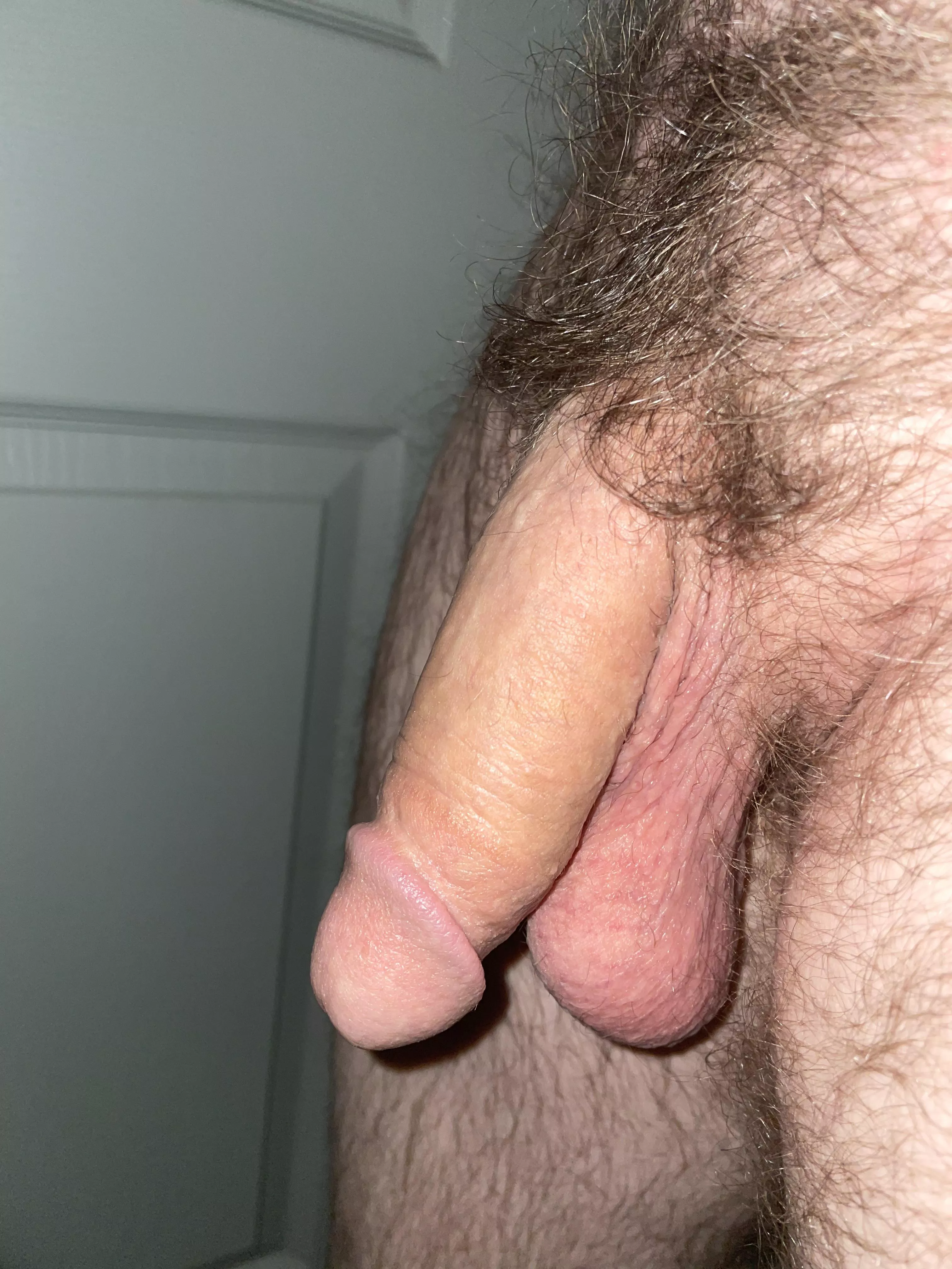 My hairy soft cock