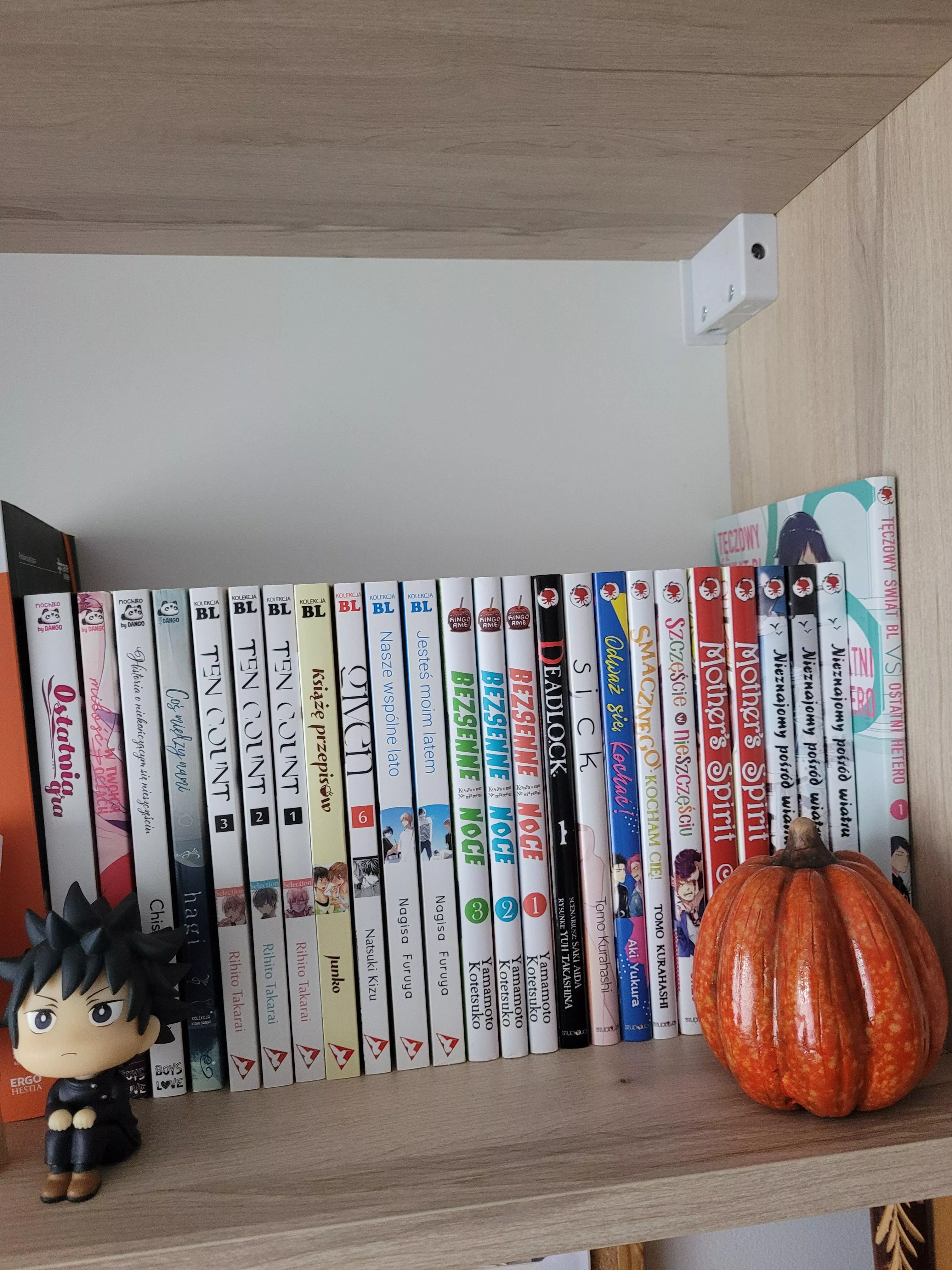 My Little collection of yaoi manga. On the next week My second 13 volumes will come to me, and How much do you have?