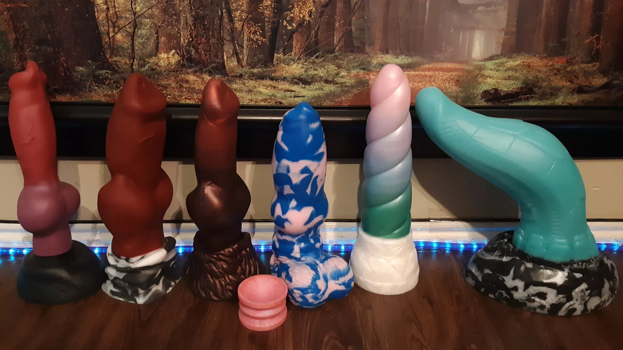 My little forest of XL boys!