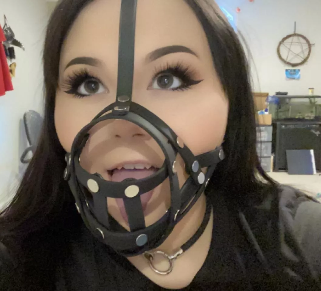 My muzzle finally came~! What do you think?