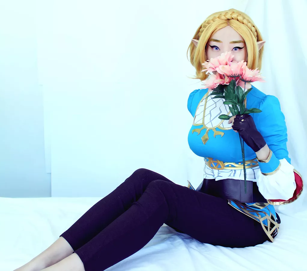 My Princess Zelda Cosplay