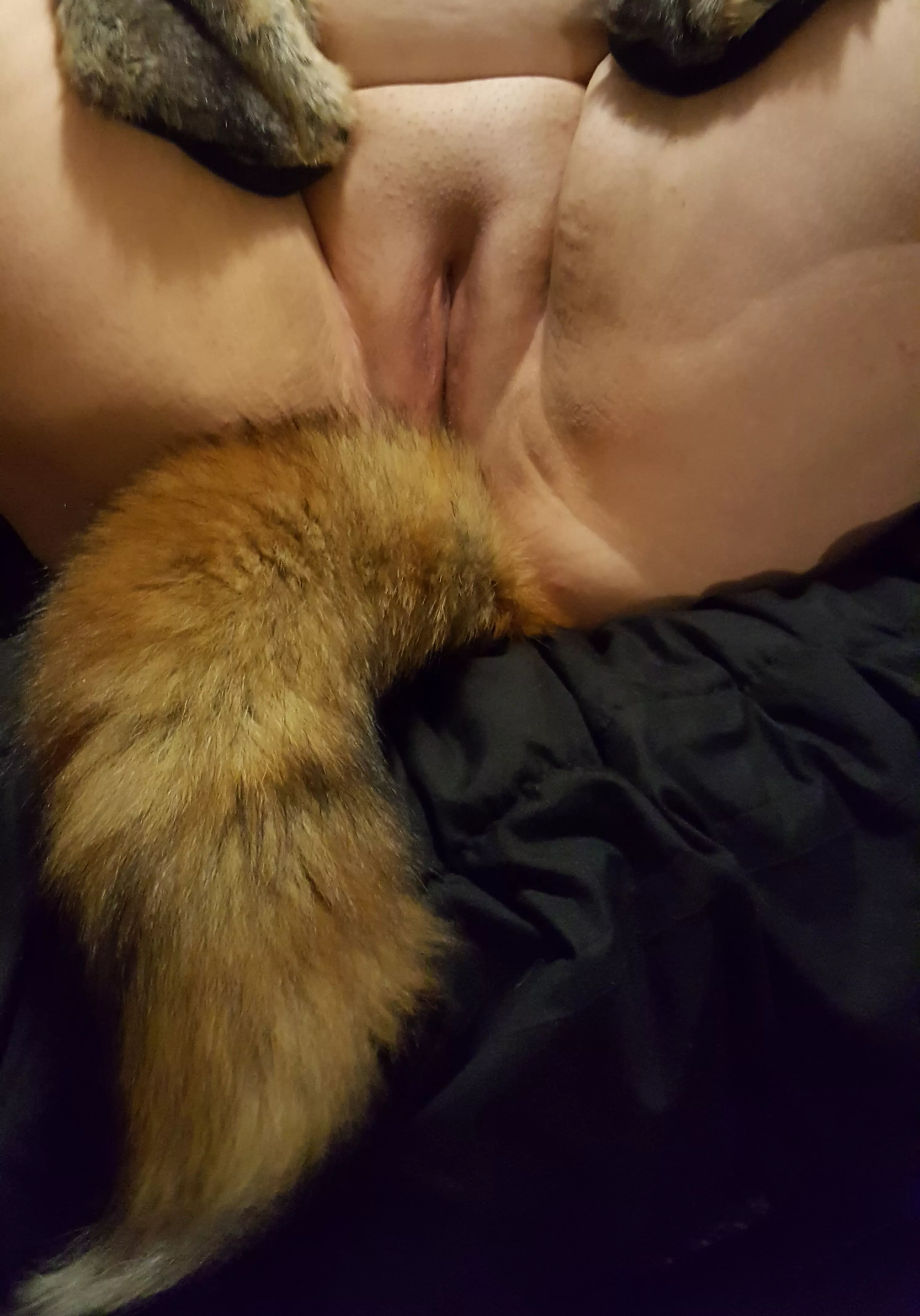 My sexy pet fox on display!