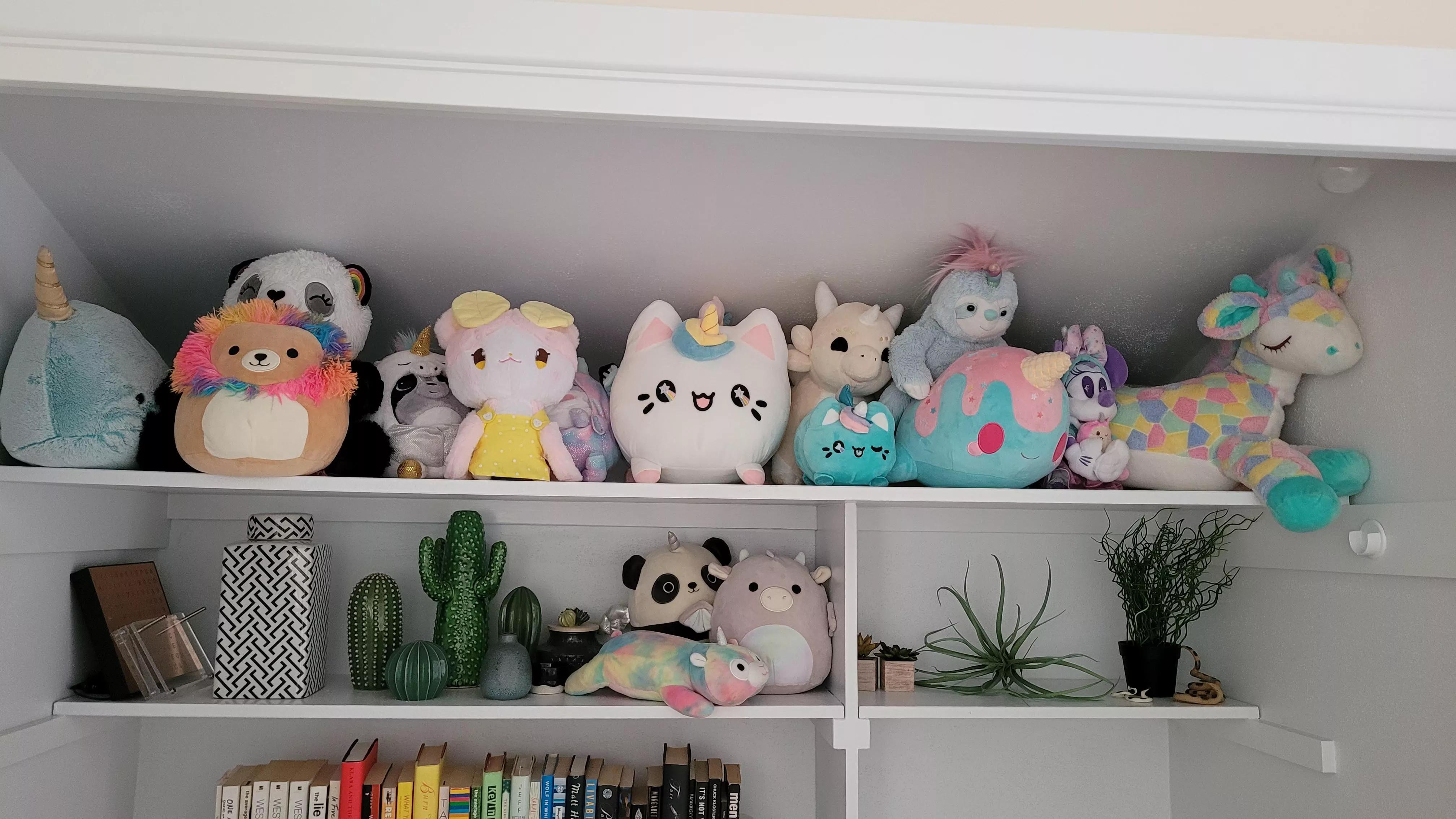 My stuffies have a cute shelf to hang out on ðŸ¥°