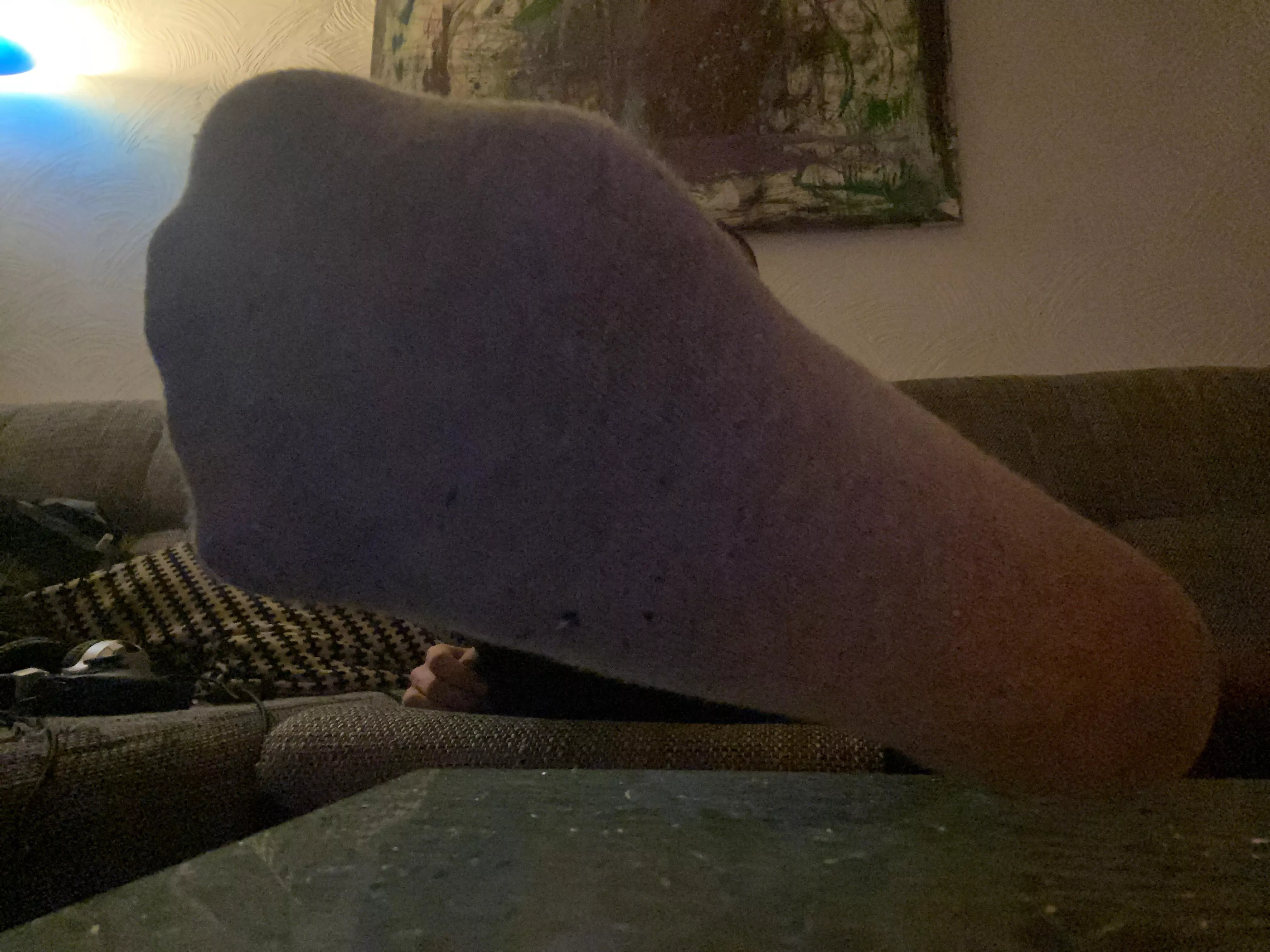 my tired grey Sockfoot demands detailed attention admiration adoration praise service and worship! 😎