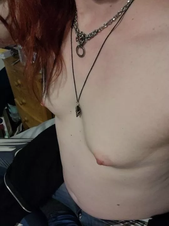 My tits are coming in nicely