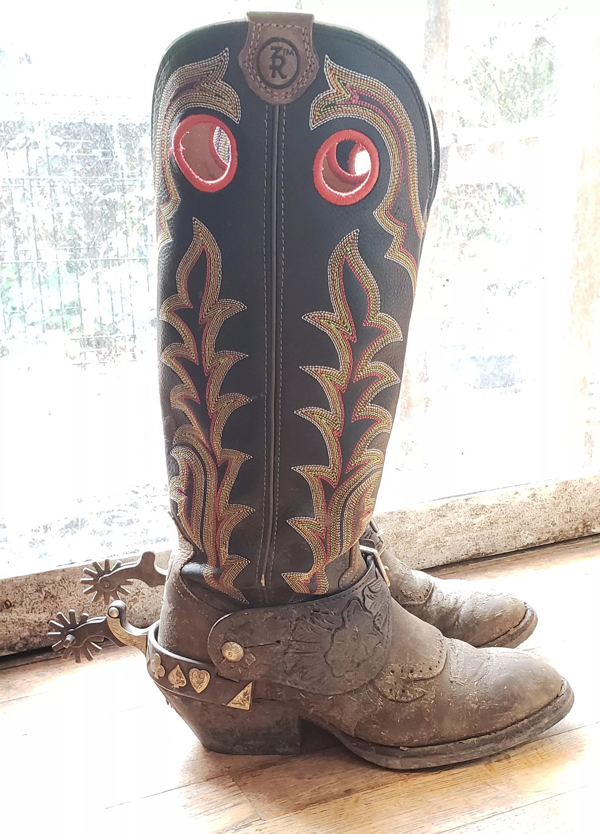 My Tony Lama riding boots, still working on breaking them in