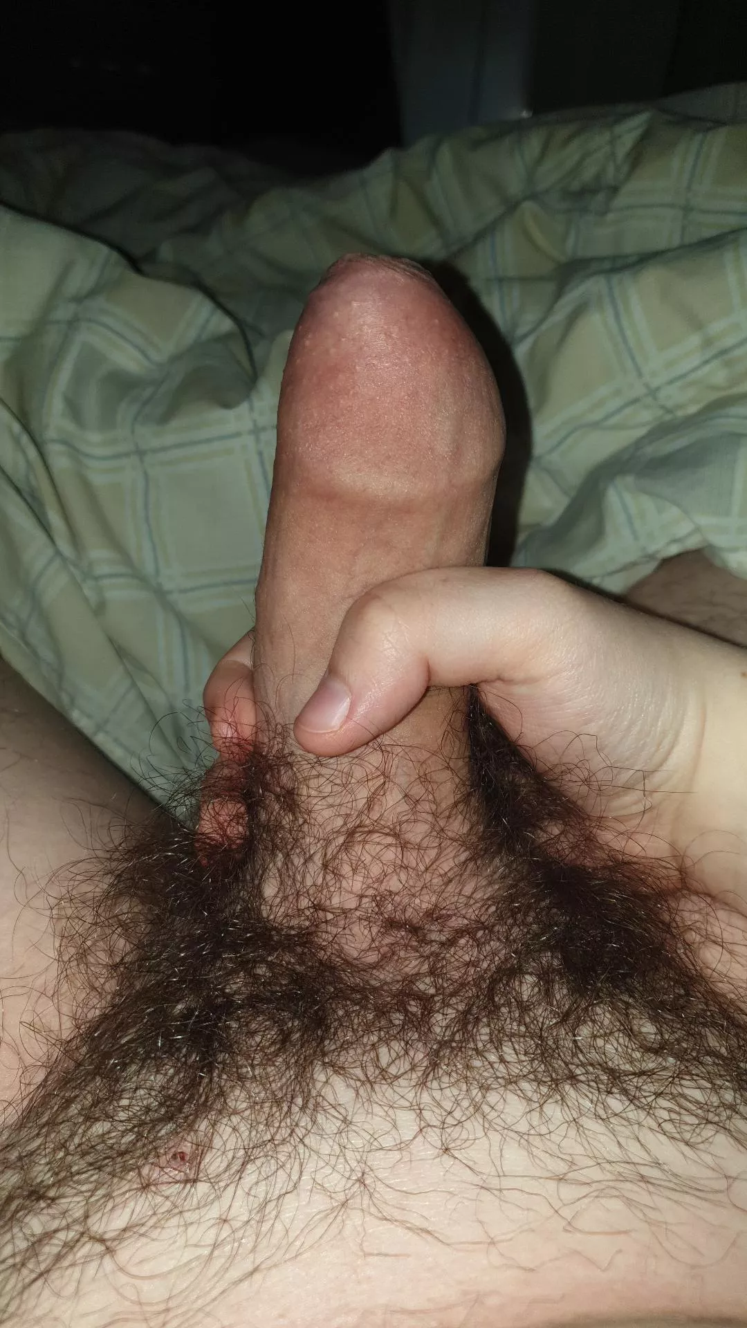 My uncut dick