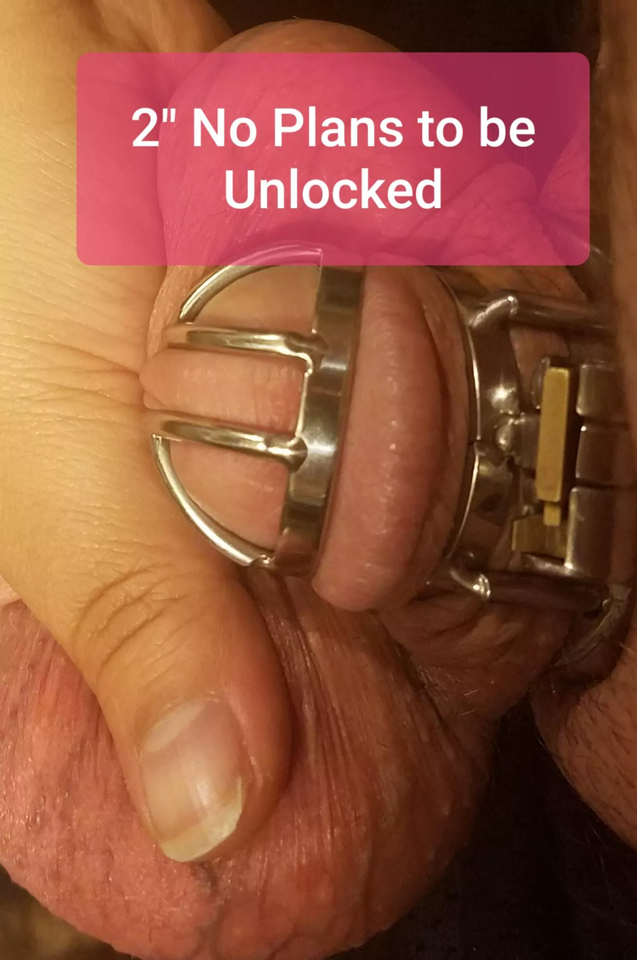 My wife admitted during Locktober she thinks its hotter when I cum in my cage than in her (she loves getting creampied)...I dont remember the last time I was inside her...6-7 weeks ago? I might have gotten cut off from pussy AND full erections ðŸ˜ðŸ˜ ð