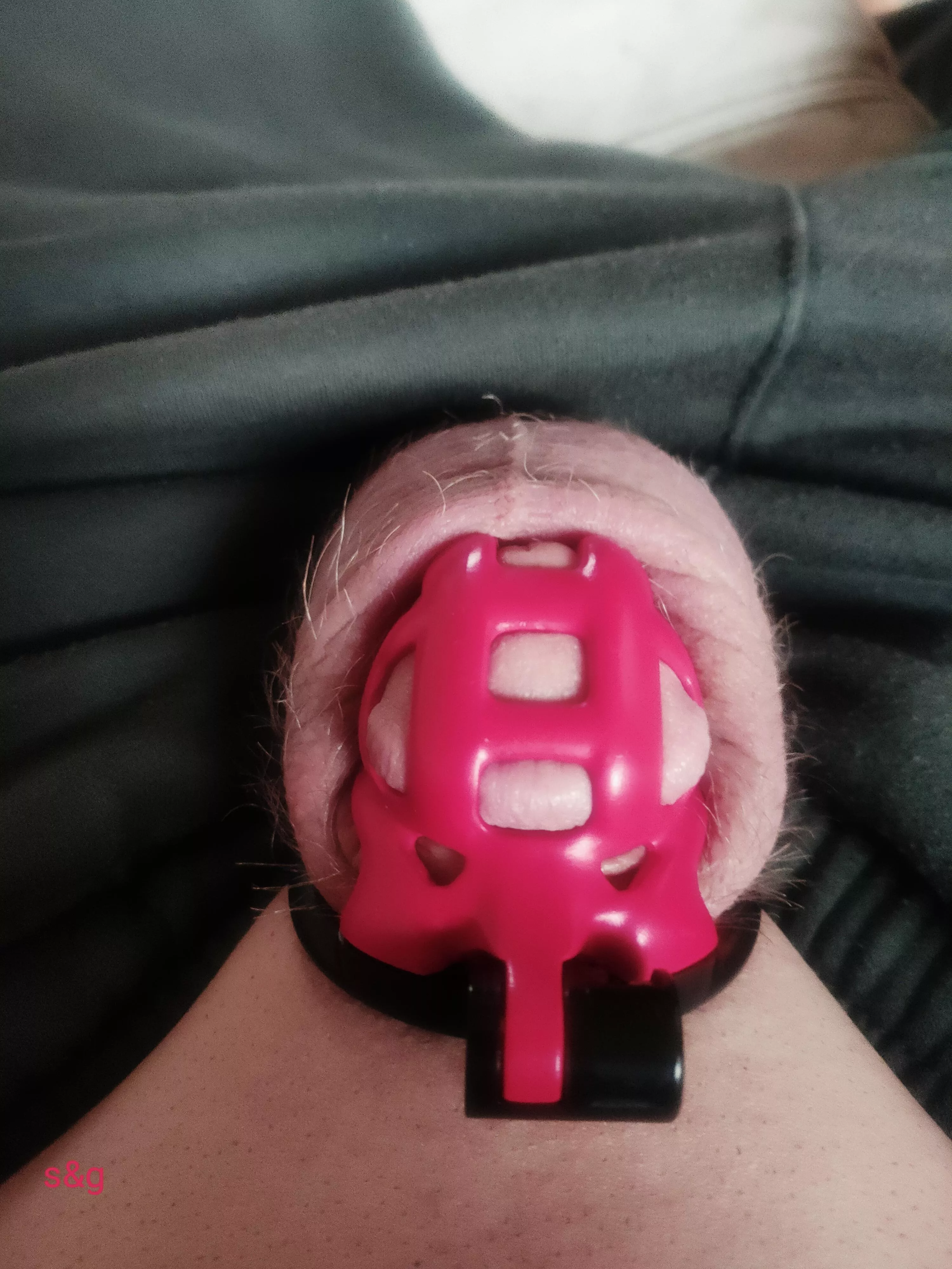 My wife/k.h. has kept me locked up and pussy free for 53 days today, she said she might unlock me today for a supervised shave and tidy up.