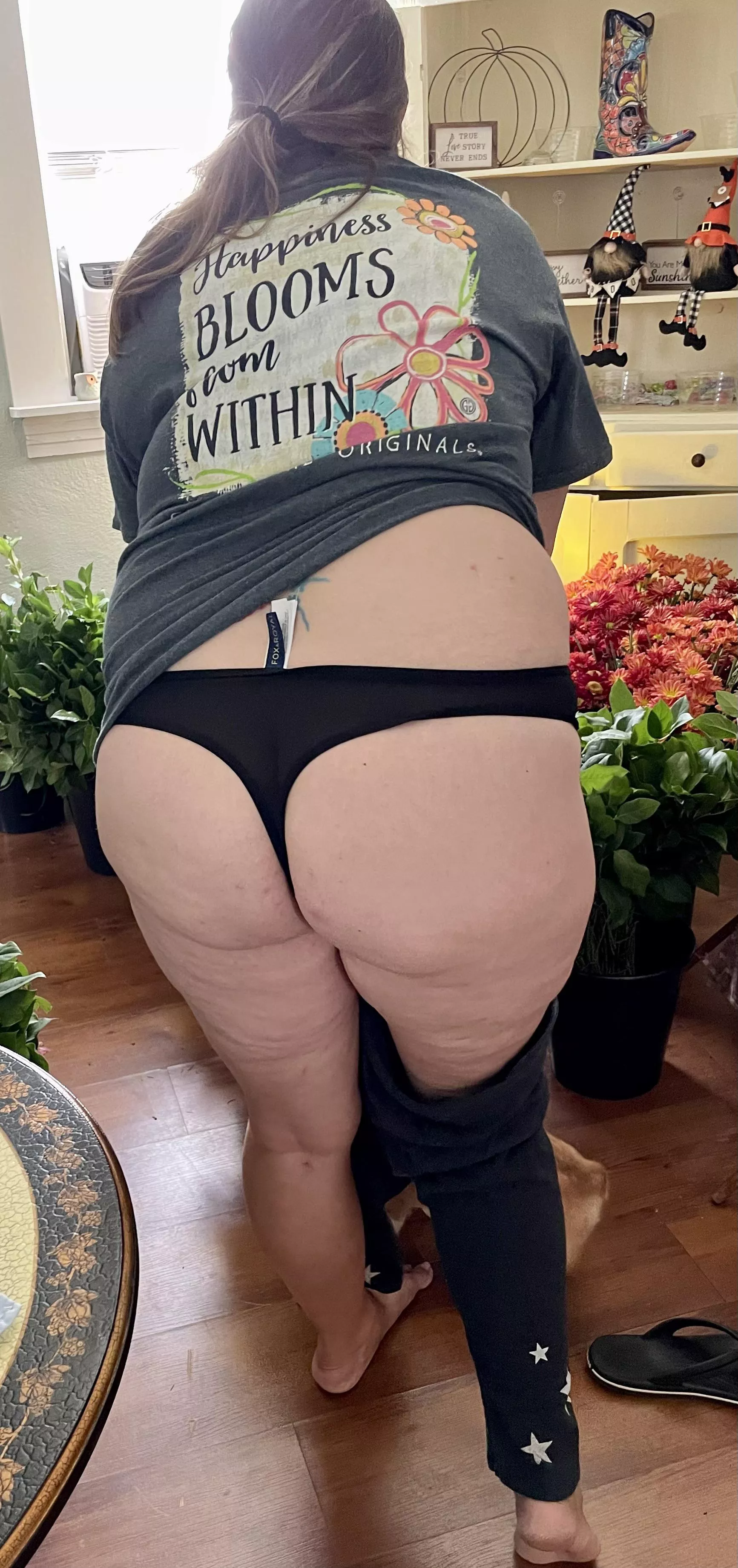 My wifeâ€™s thick ass.