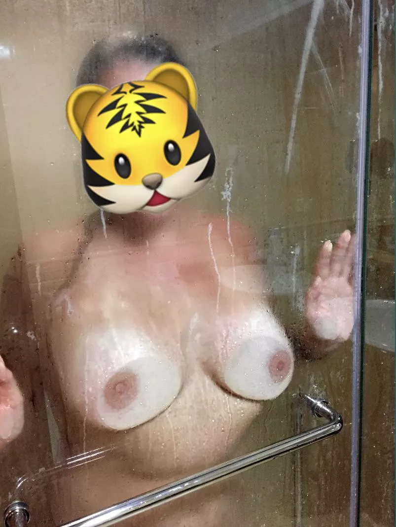 My wifey’s honeymoon shower tits🤤