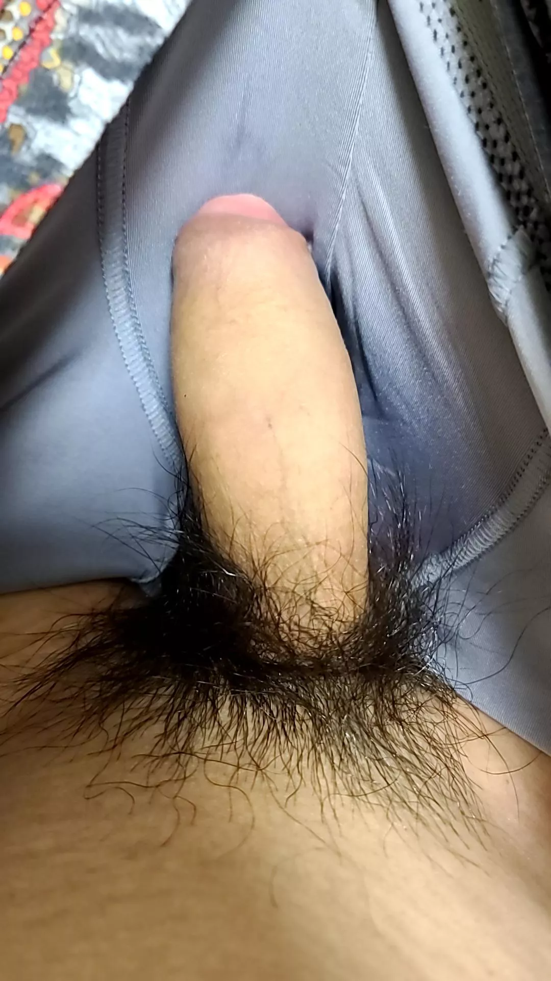 my young cock