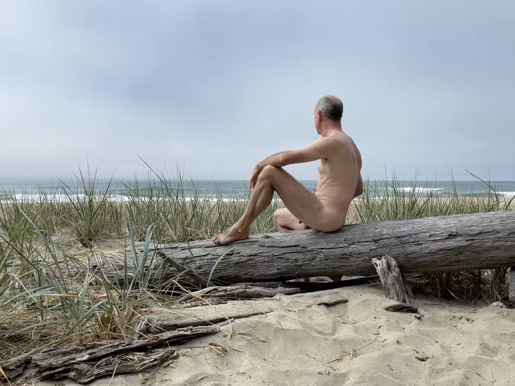 Naked Sitting on a Log Adventure