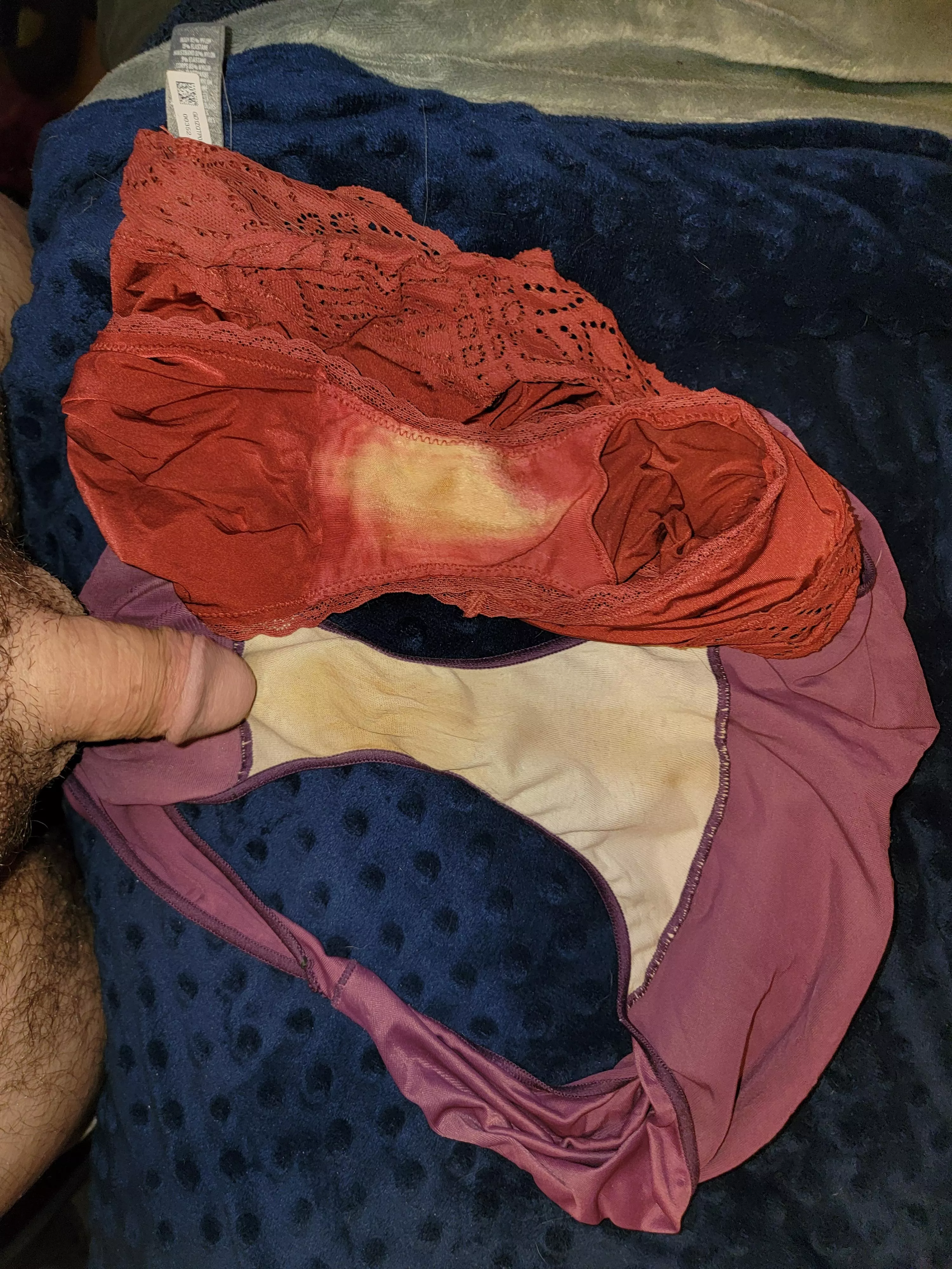 Naughty wife keeps leaving her dirty smelly panties out for me