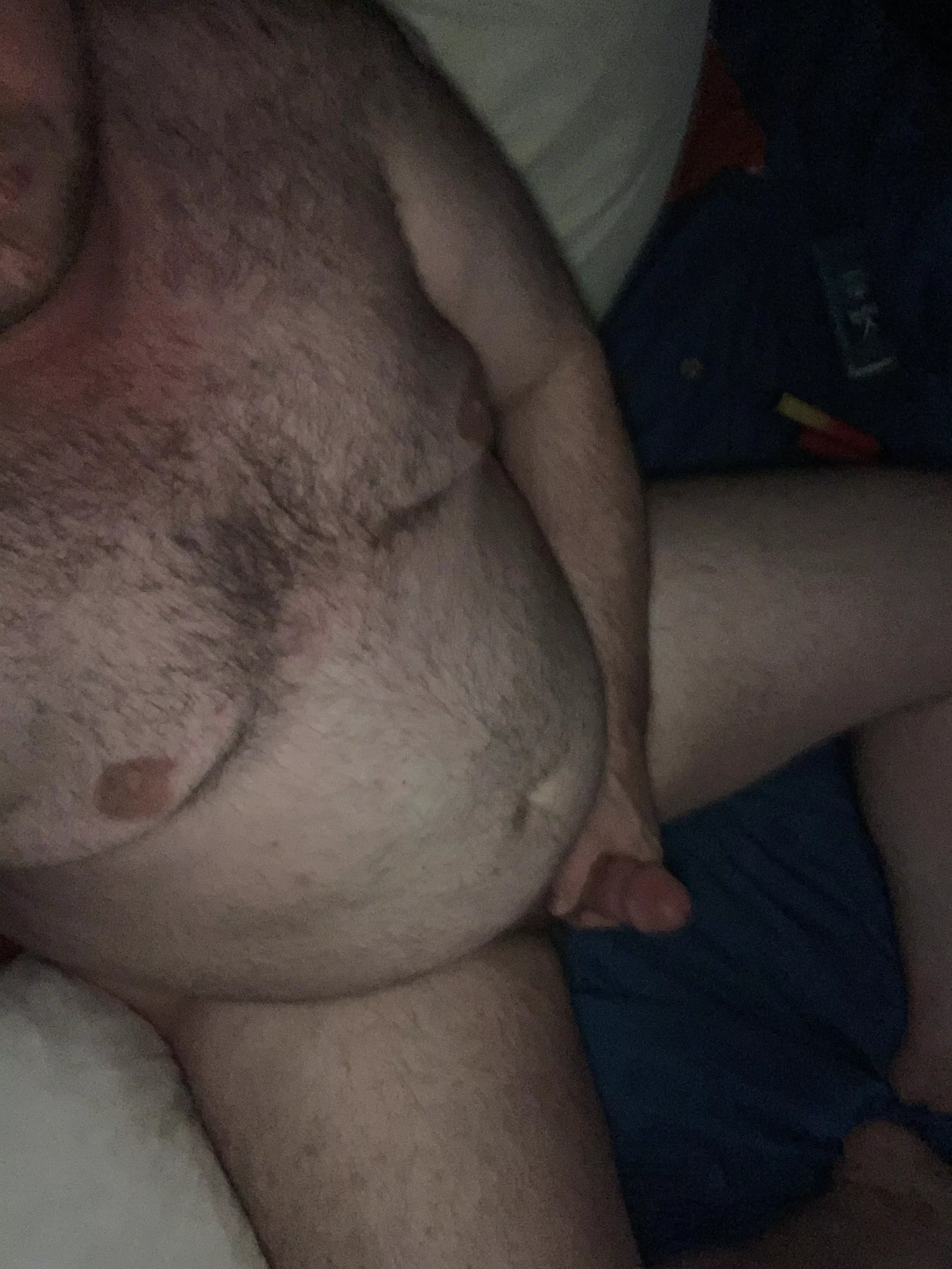 Need a big hairy bear in bed to play with