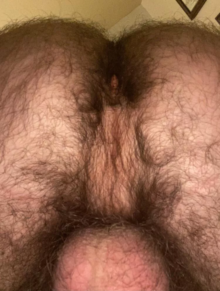 Need an insatiable stink pig to come clean my hairy hole.