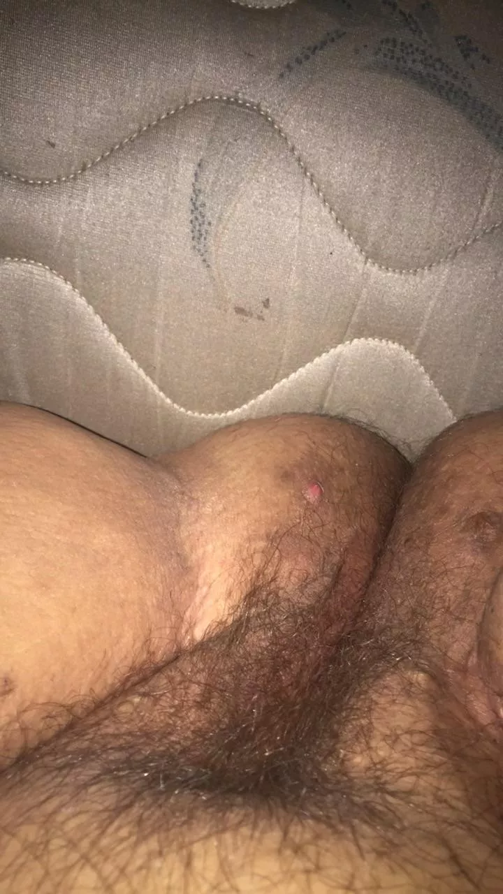 Need big cock for this fat pussy