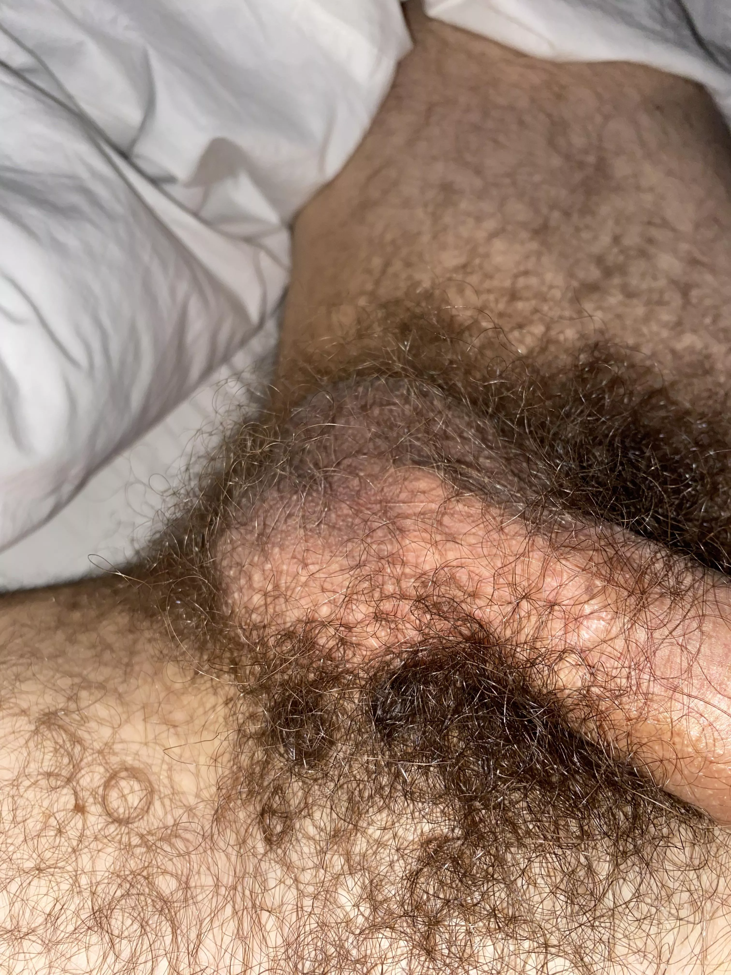 Need these tight musky hairy nuts licked