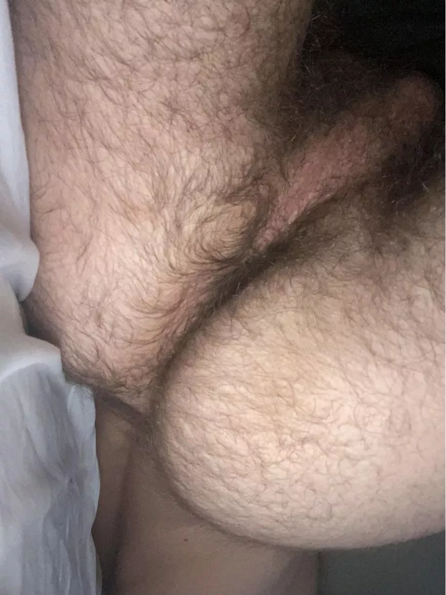 Need this furry college ass licked and fucked tbh, hmu bros