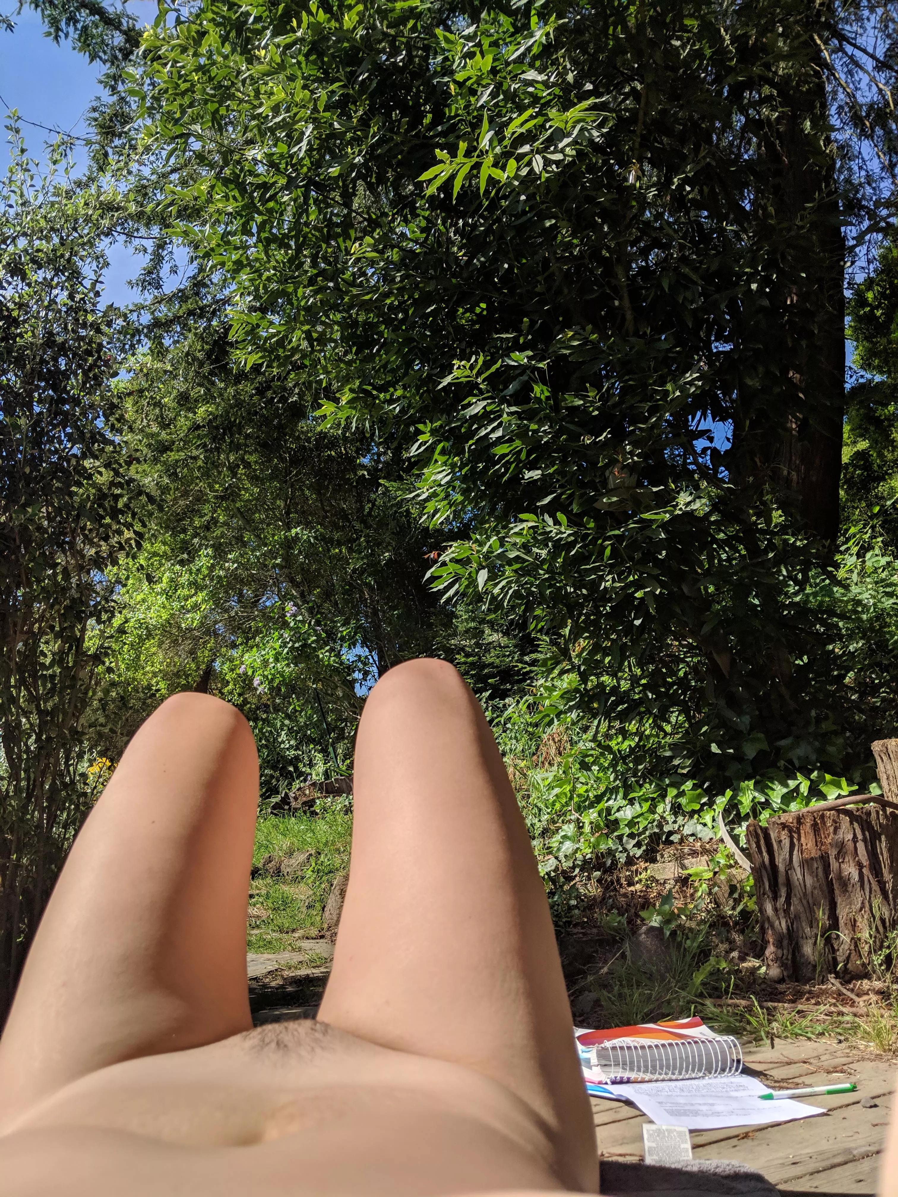 Need to catch up on the landscaping.. and homework :/ (33f)