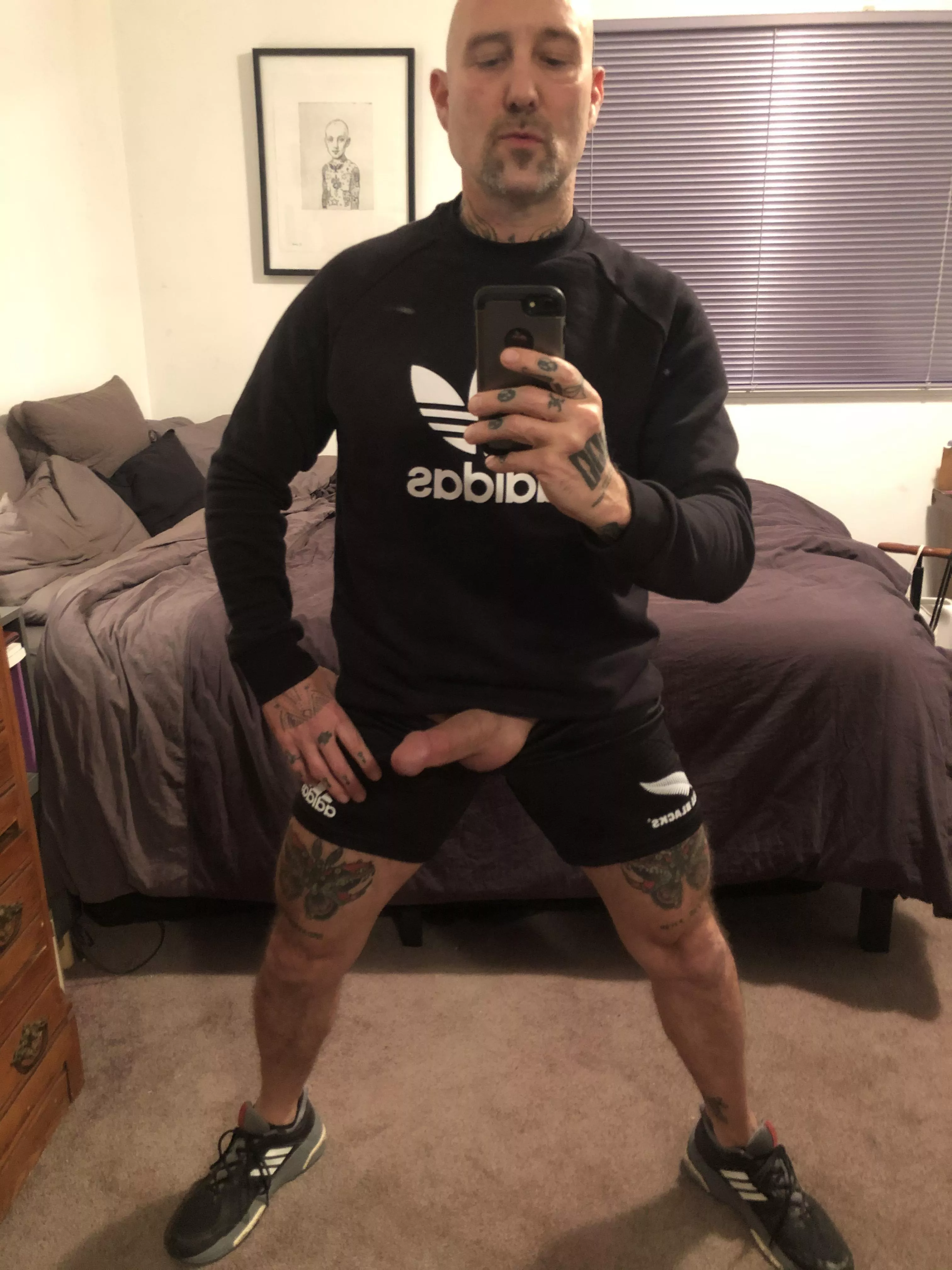 New All Blacks rugby shorts