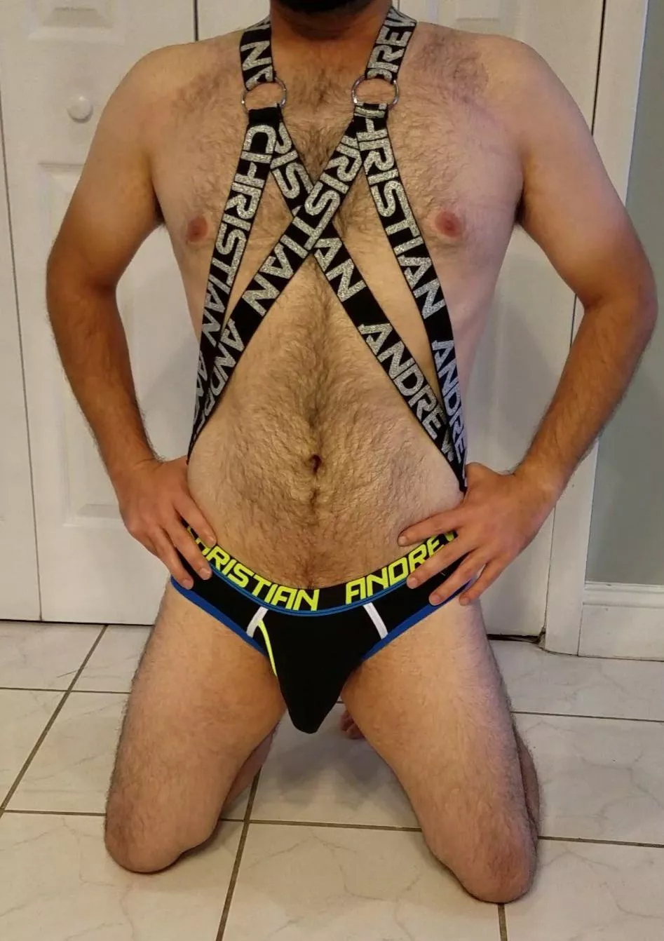 New briefs and harness