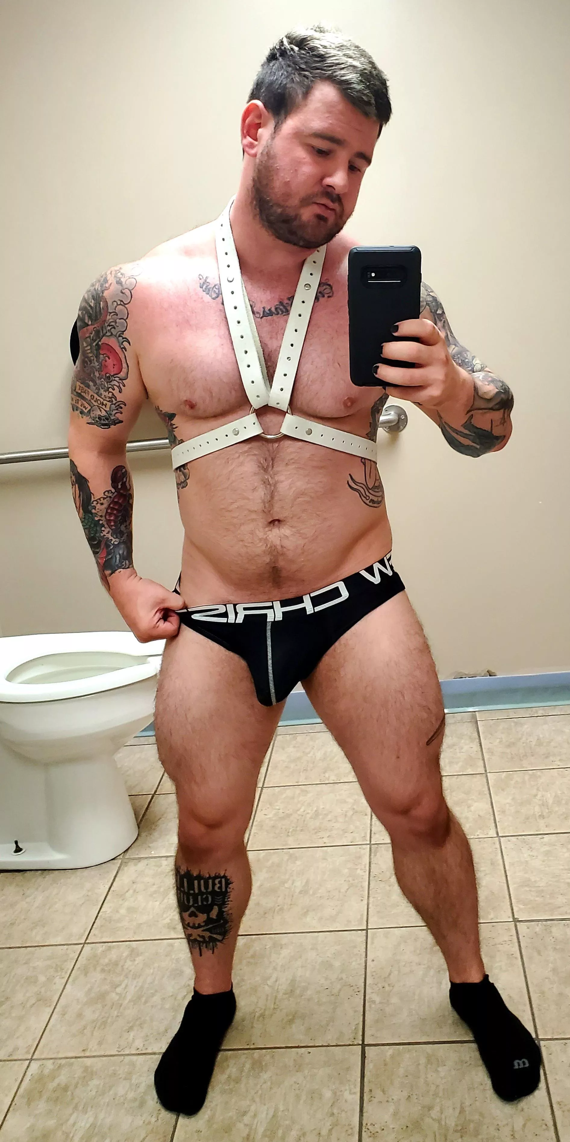 New harness! Figured I'd wear it in public ;)