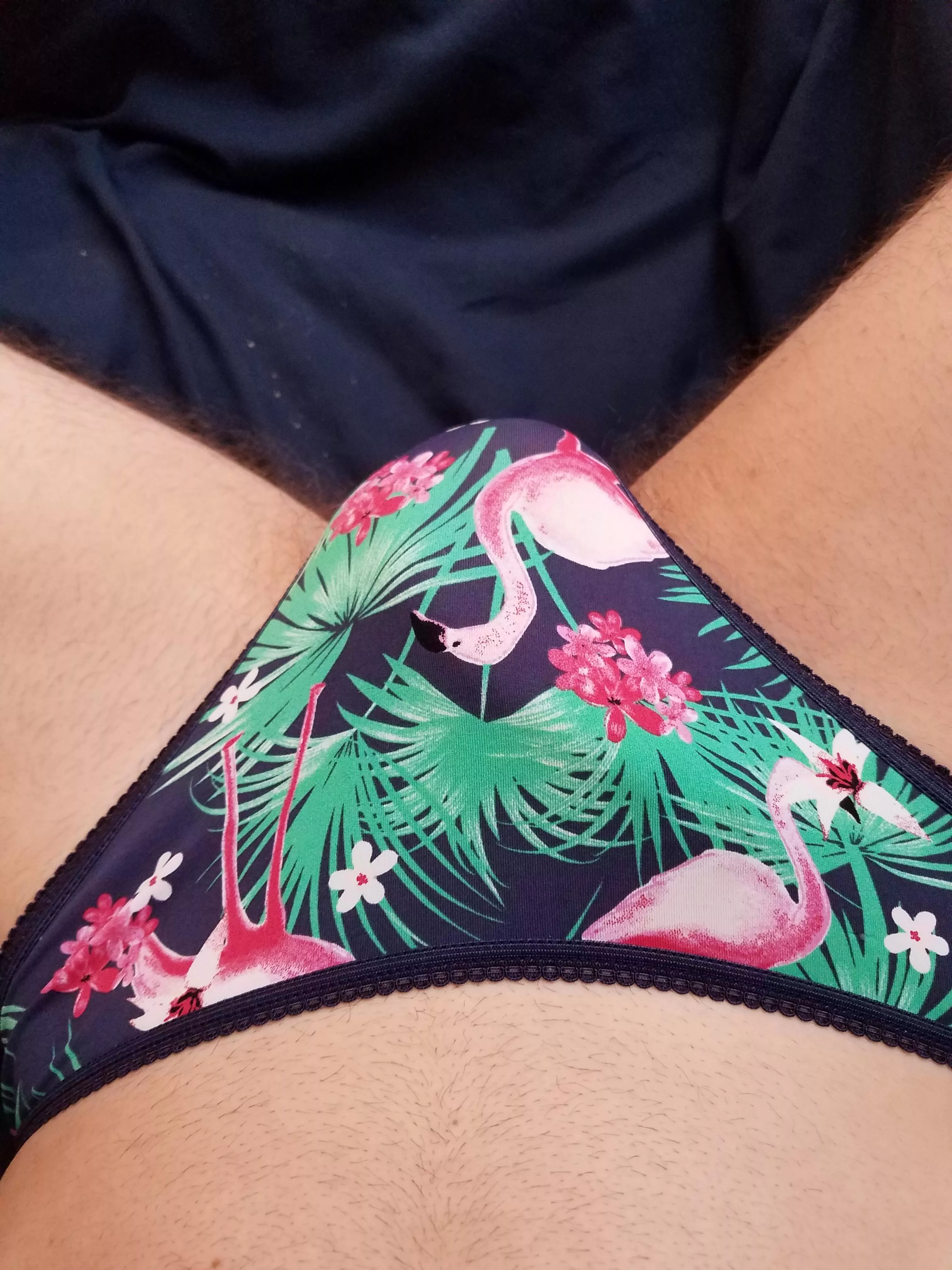 New panties