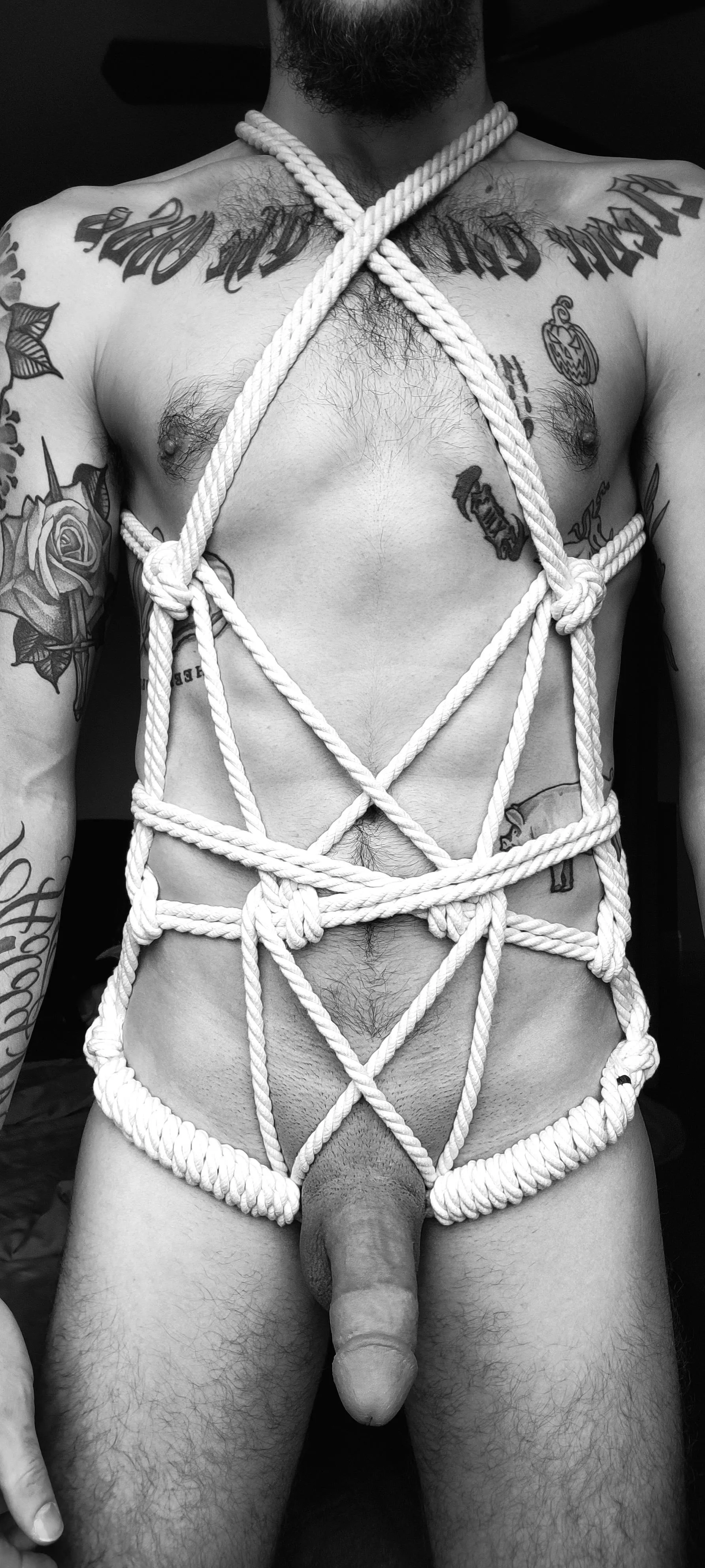 New self-tied body harness!