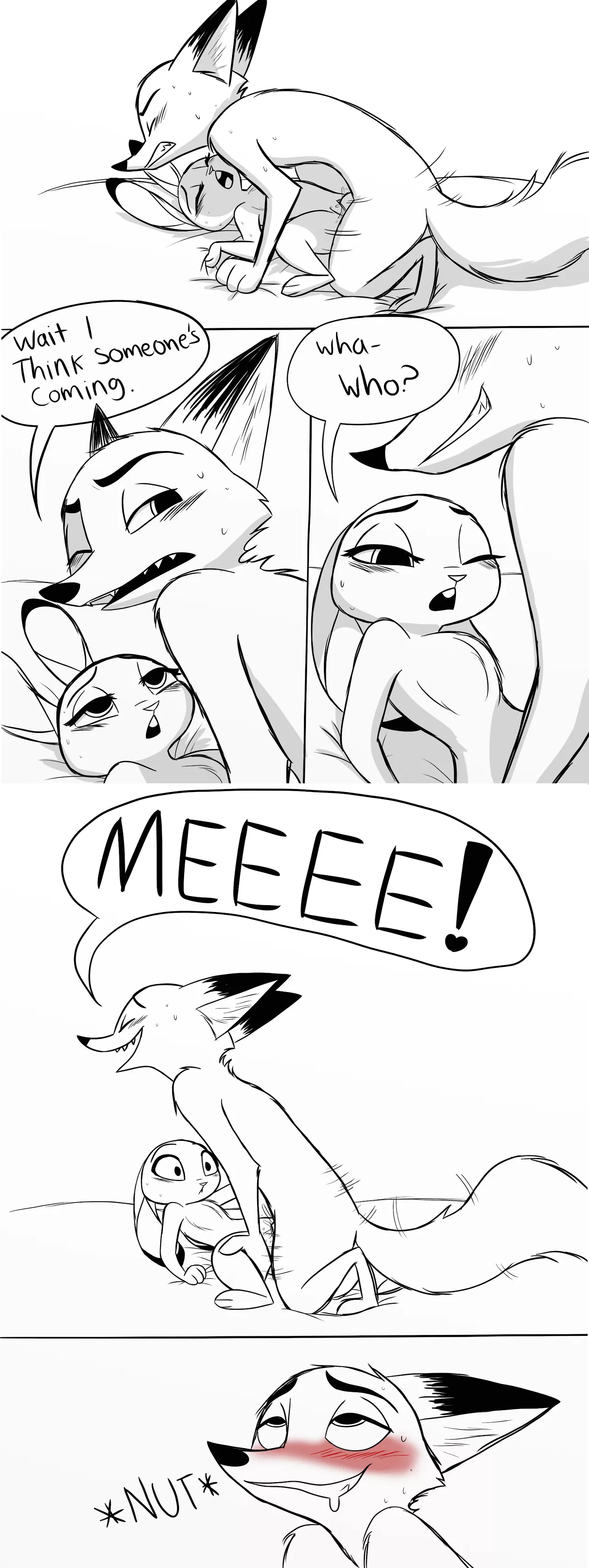 Nick always the sly fox [MF] credit : ragdoll