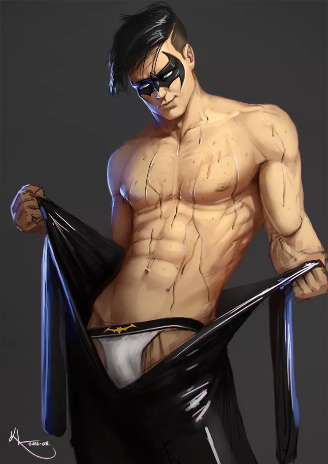 Nightwing by Karl Liversidge