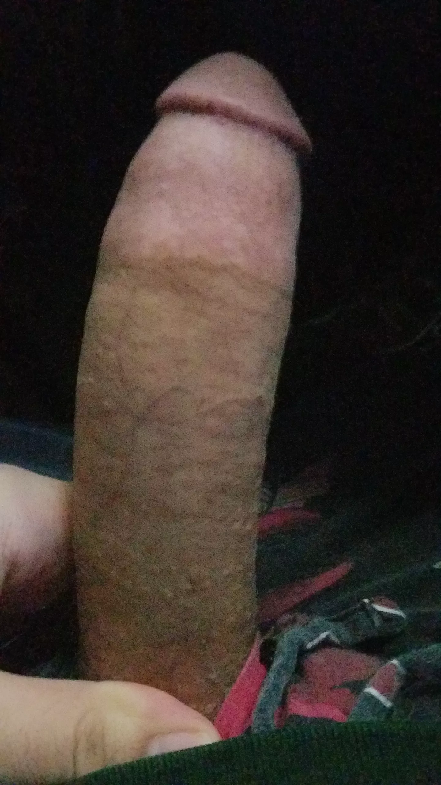 no clever caption. tell me what you think of my fat cock