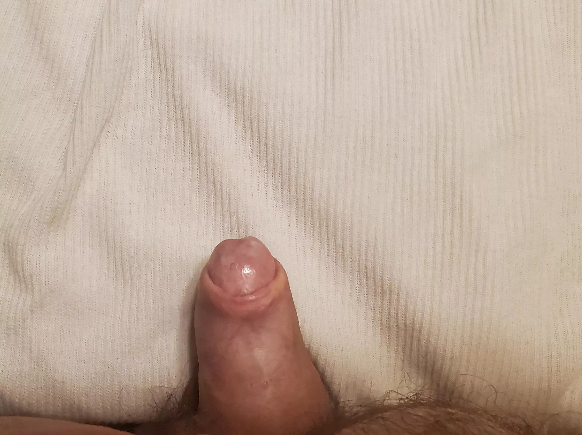 Not a grower, or a shower [41]