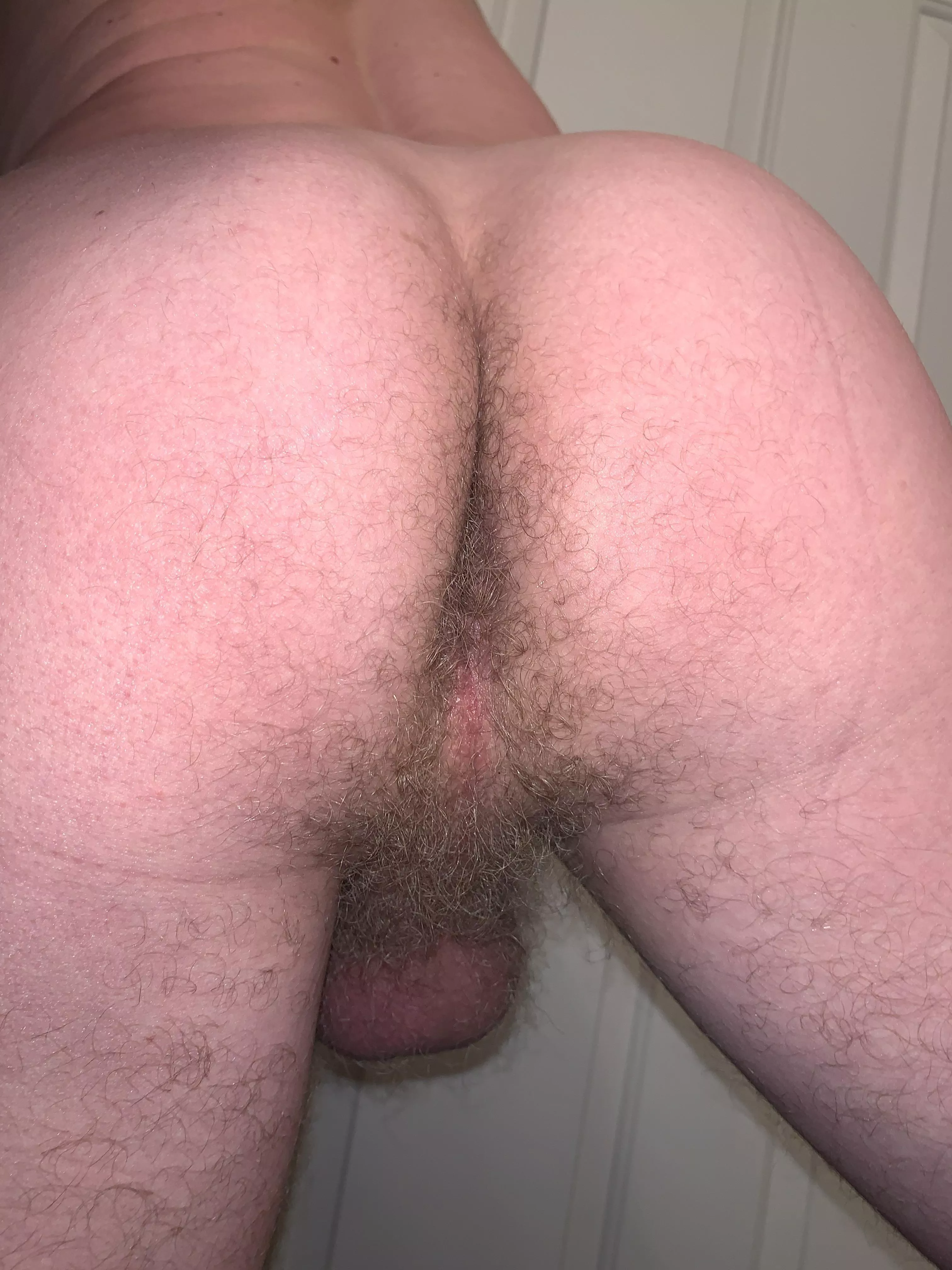 Not ashamed of my hairy taint-do you like or nah?