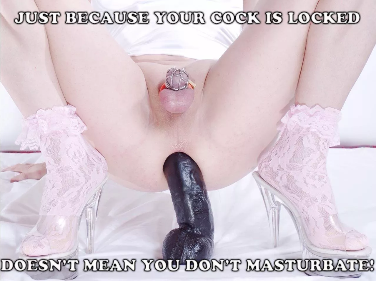 Now it’s your rule, sissy!