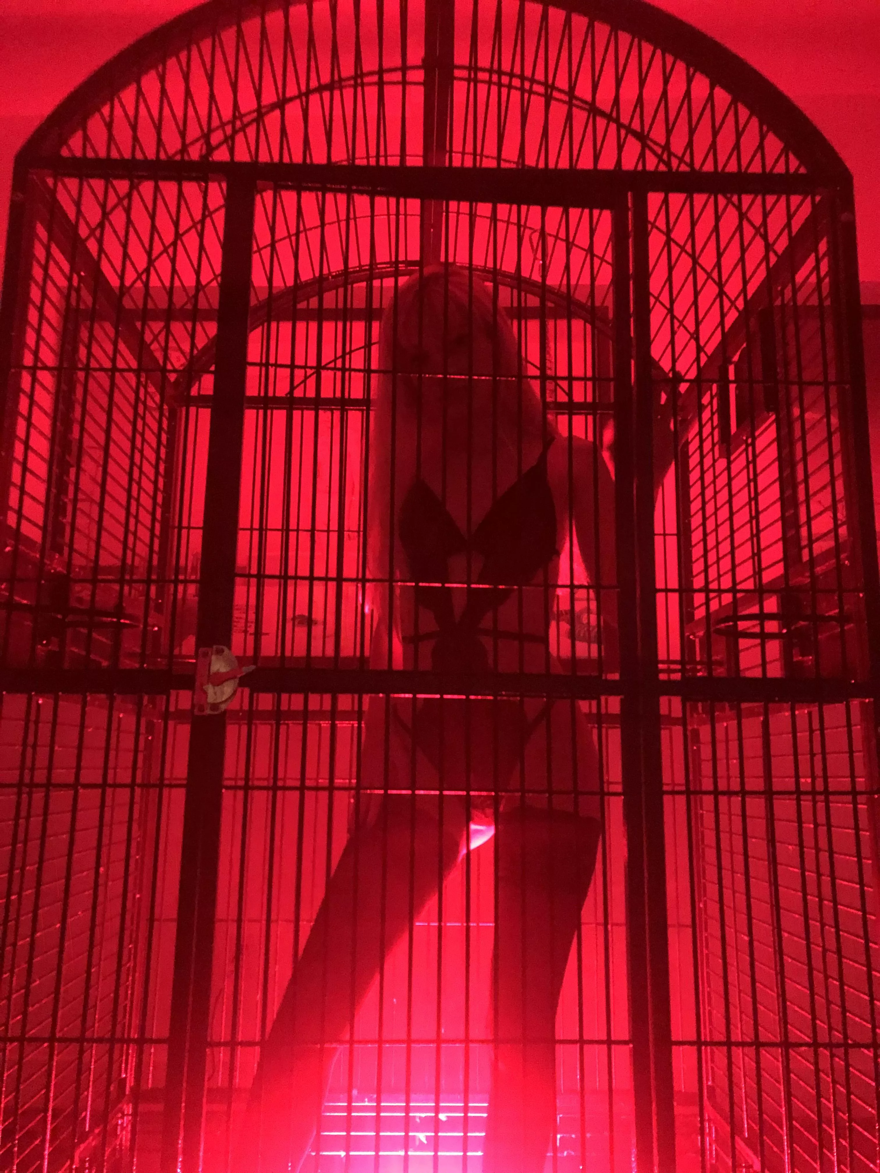 [OC] just showing you around your new room 😈