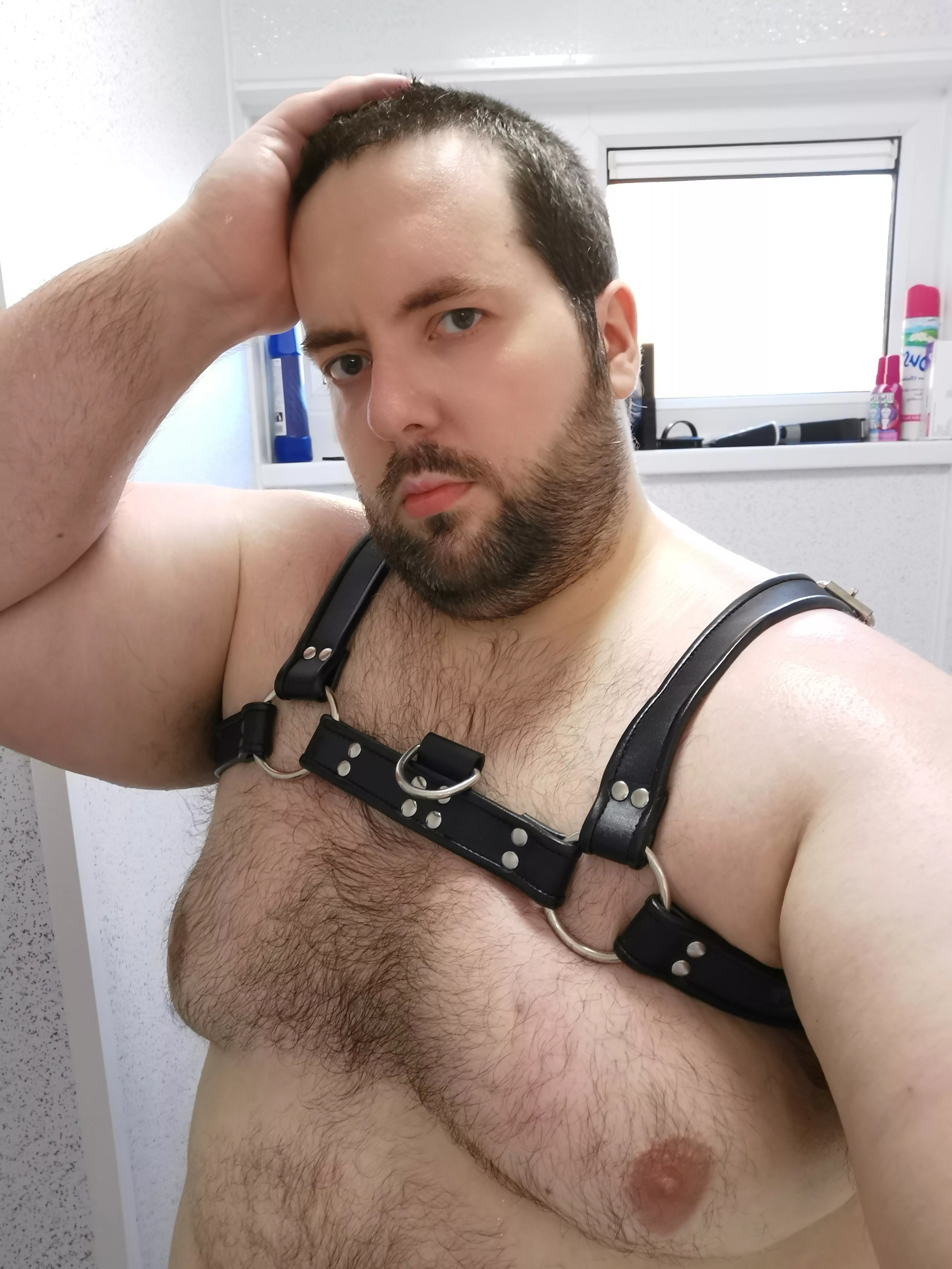 Okay, so I may have bought a harness...