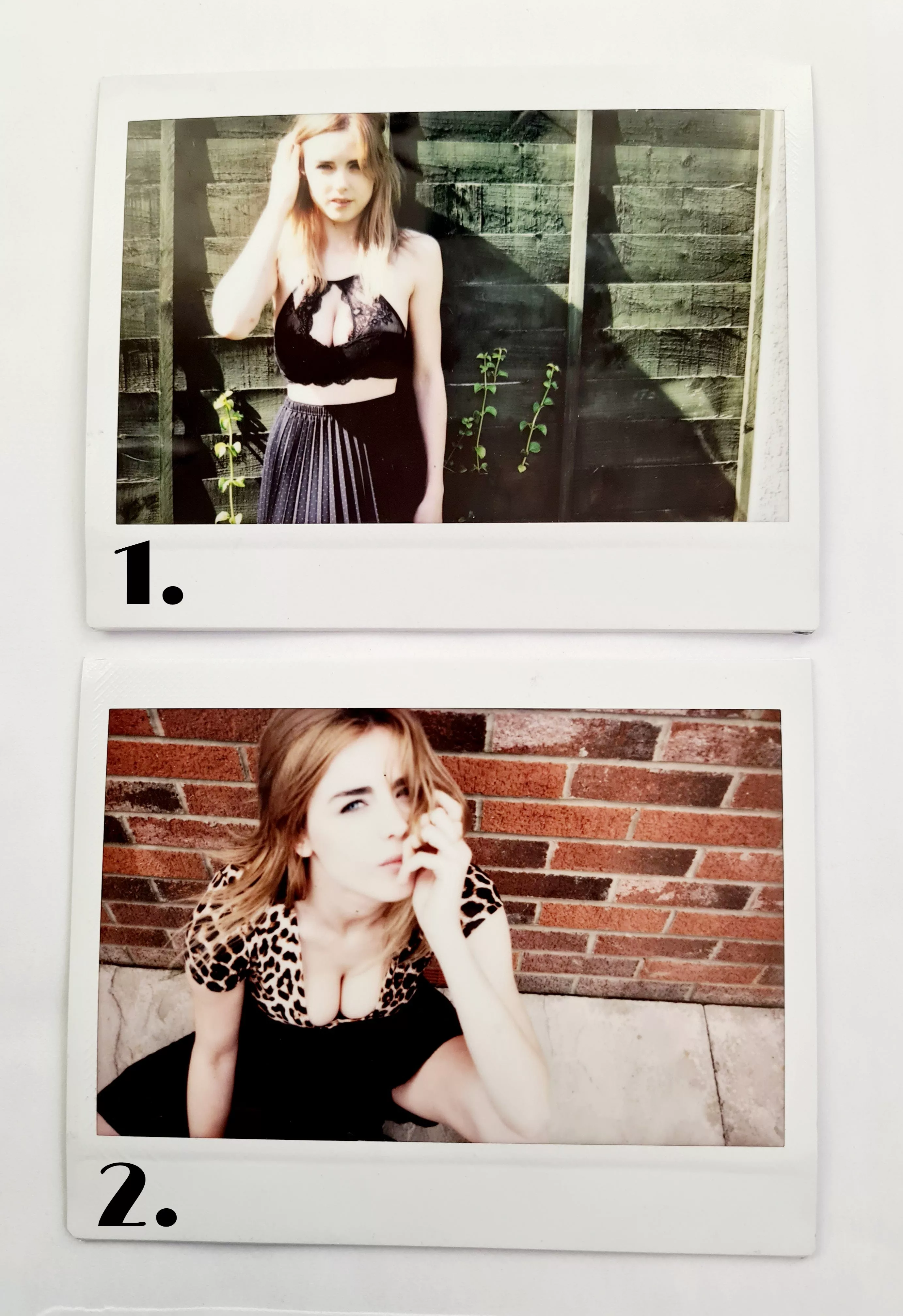 Old Garden Polaroids