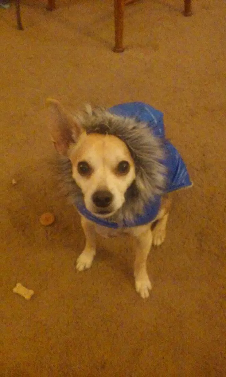 Oliver stylin' in his rain jacket