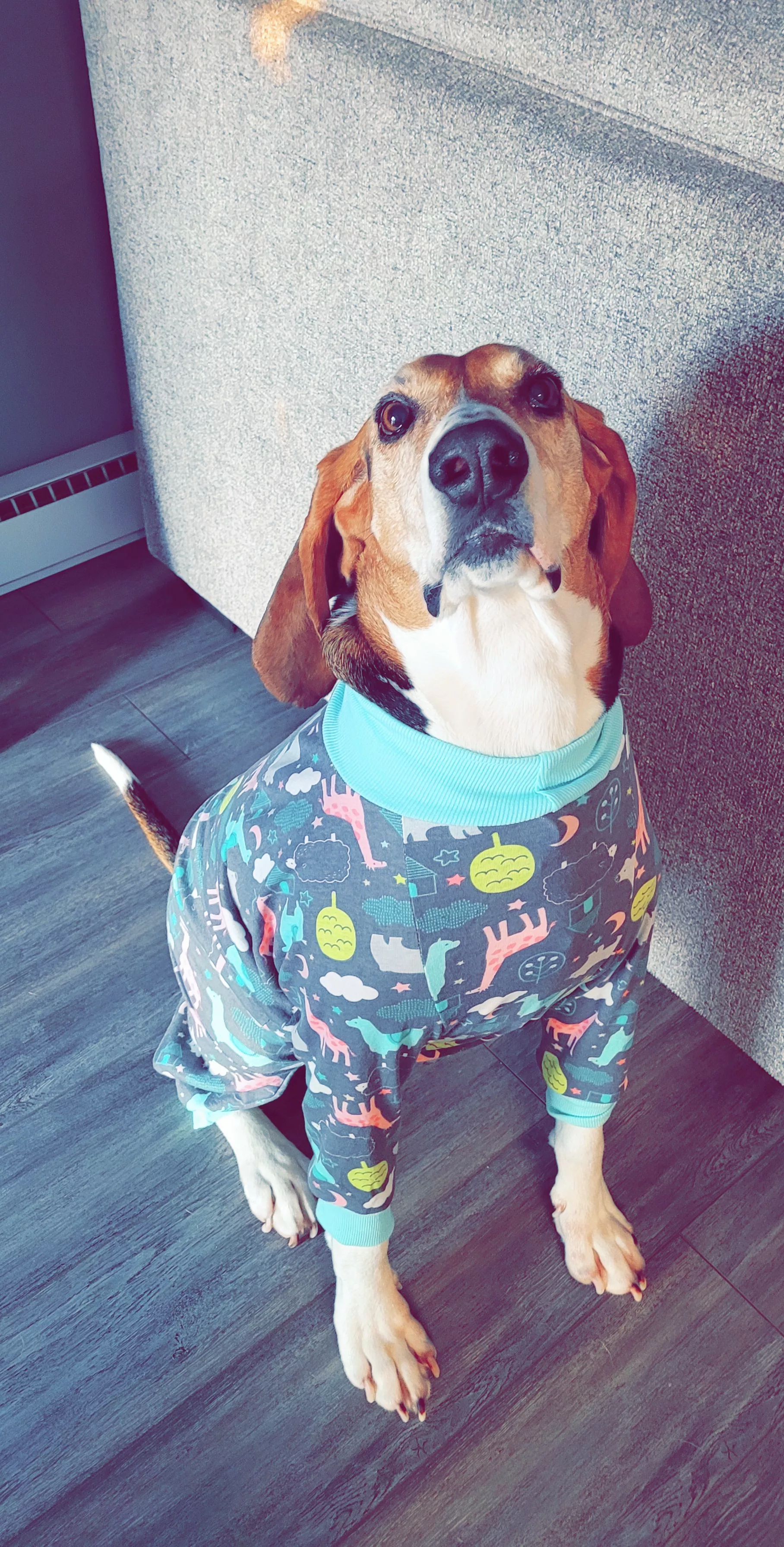 Ollie in his jammies